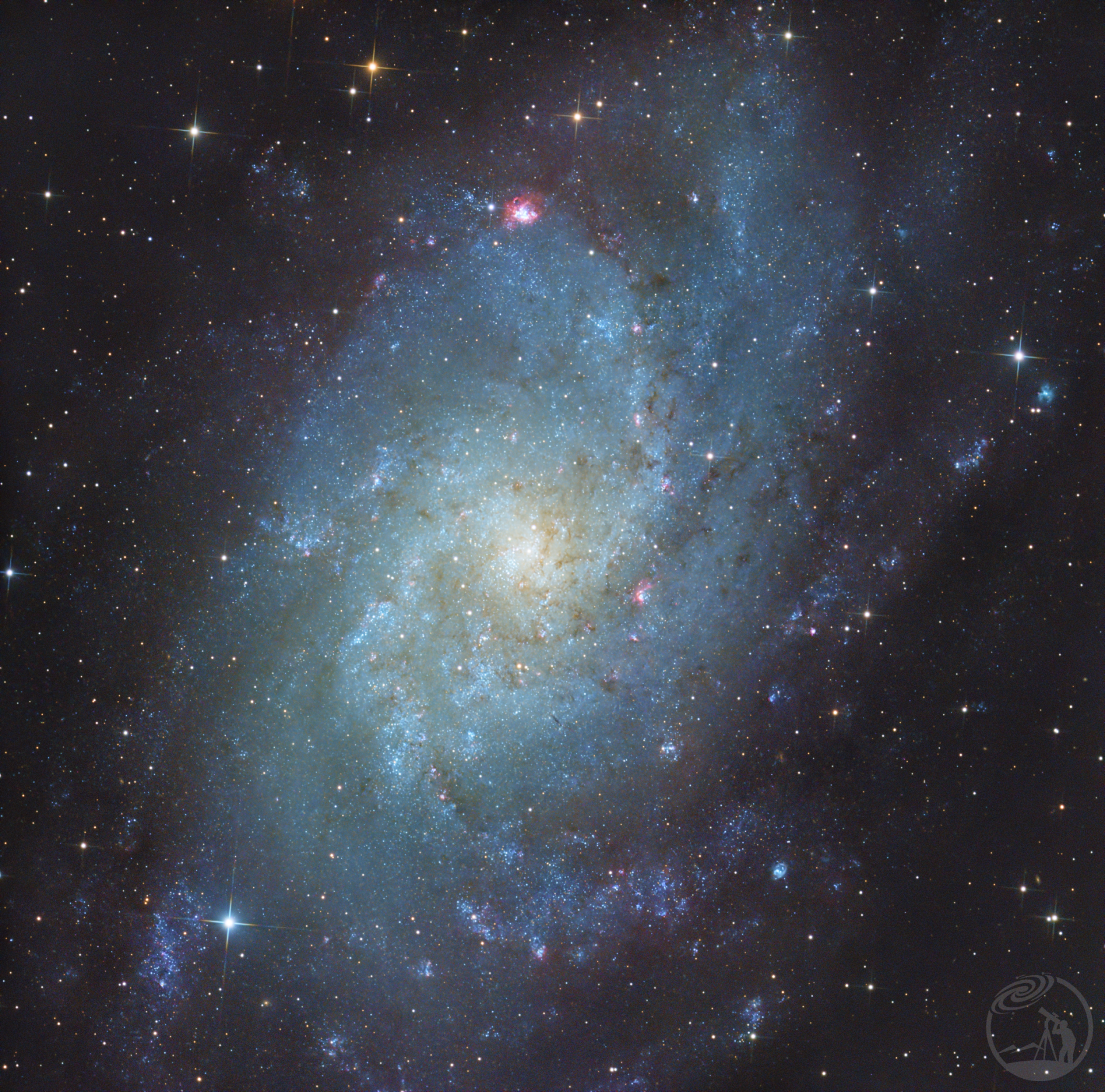 M33