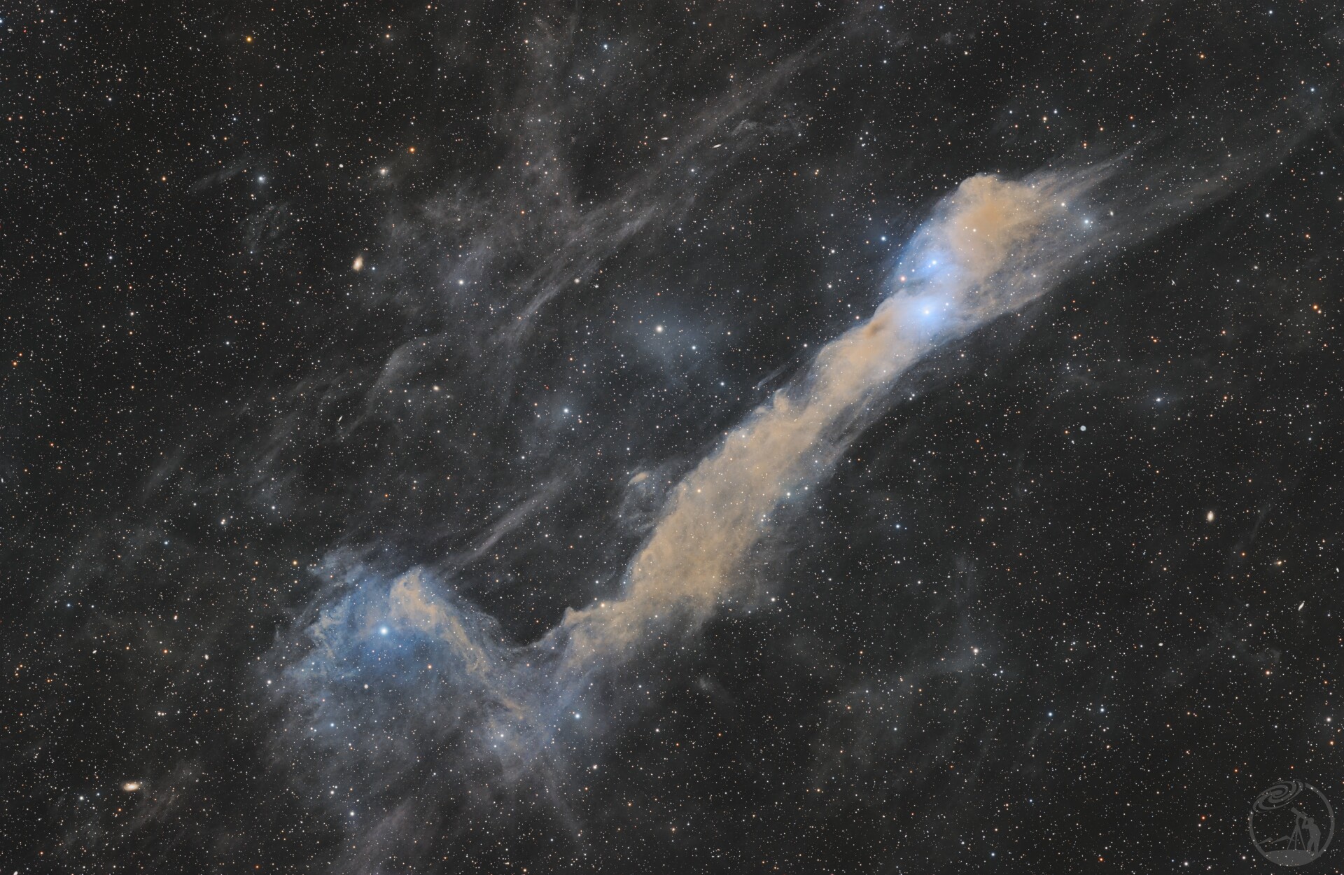 对吗，对的对的