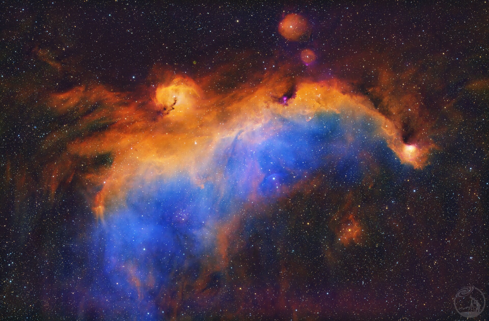 海鸥（群友素材）