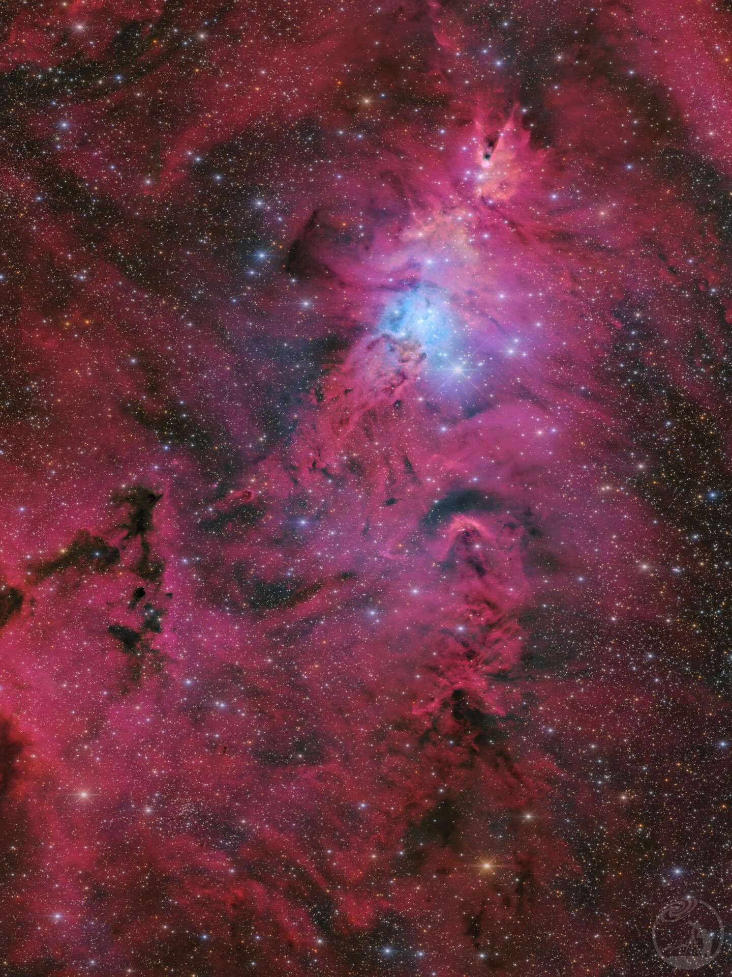 NGC2264-圣诞树星云