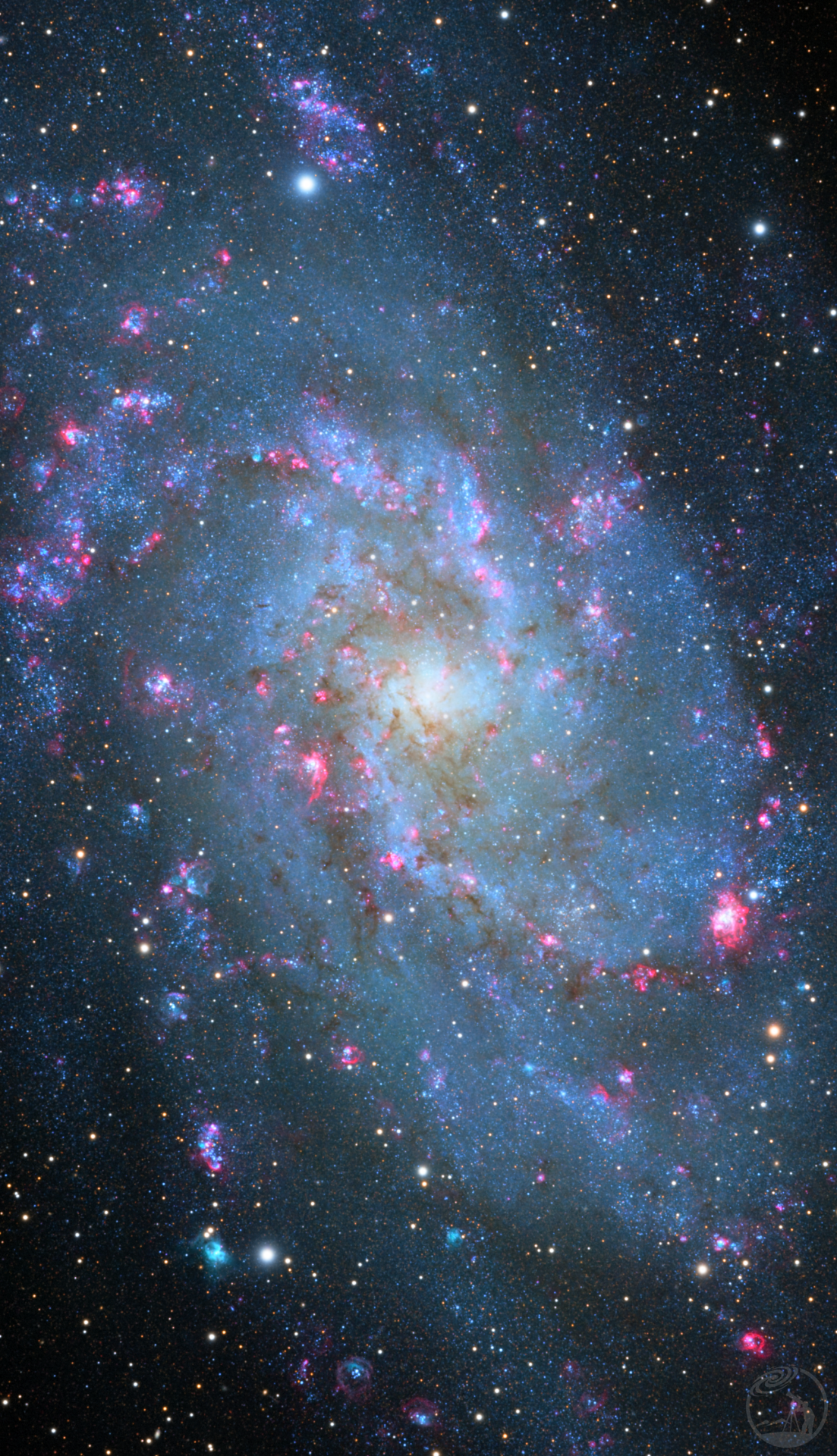 M33