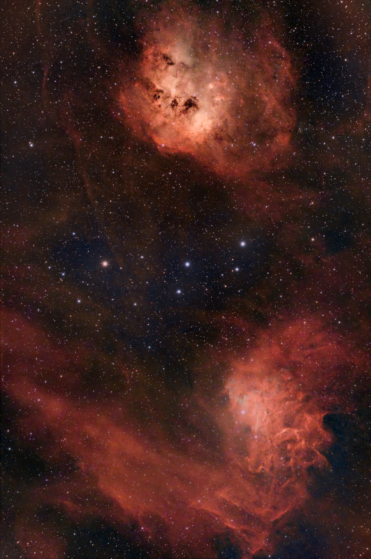 火焰之星+小蝌蚪星云