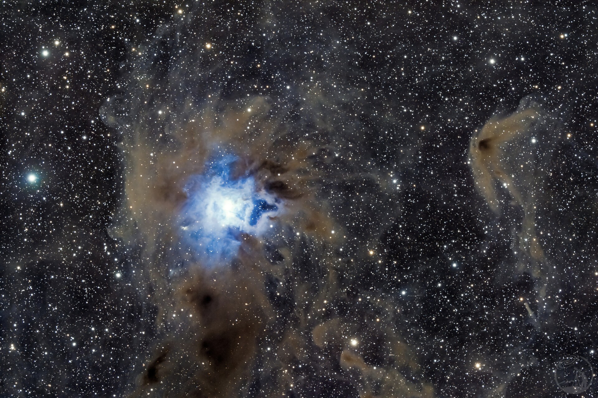 NGC7023 鸢尾花星云