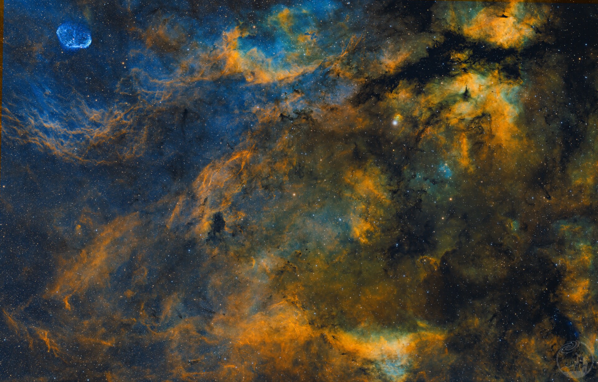 黑白处女作：打野蝴蝶与眉月广域