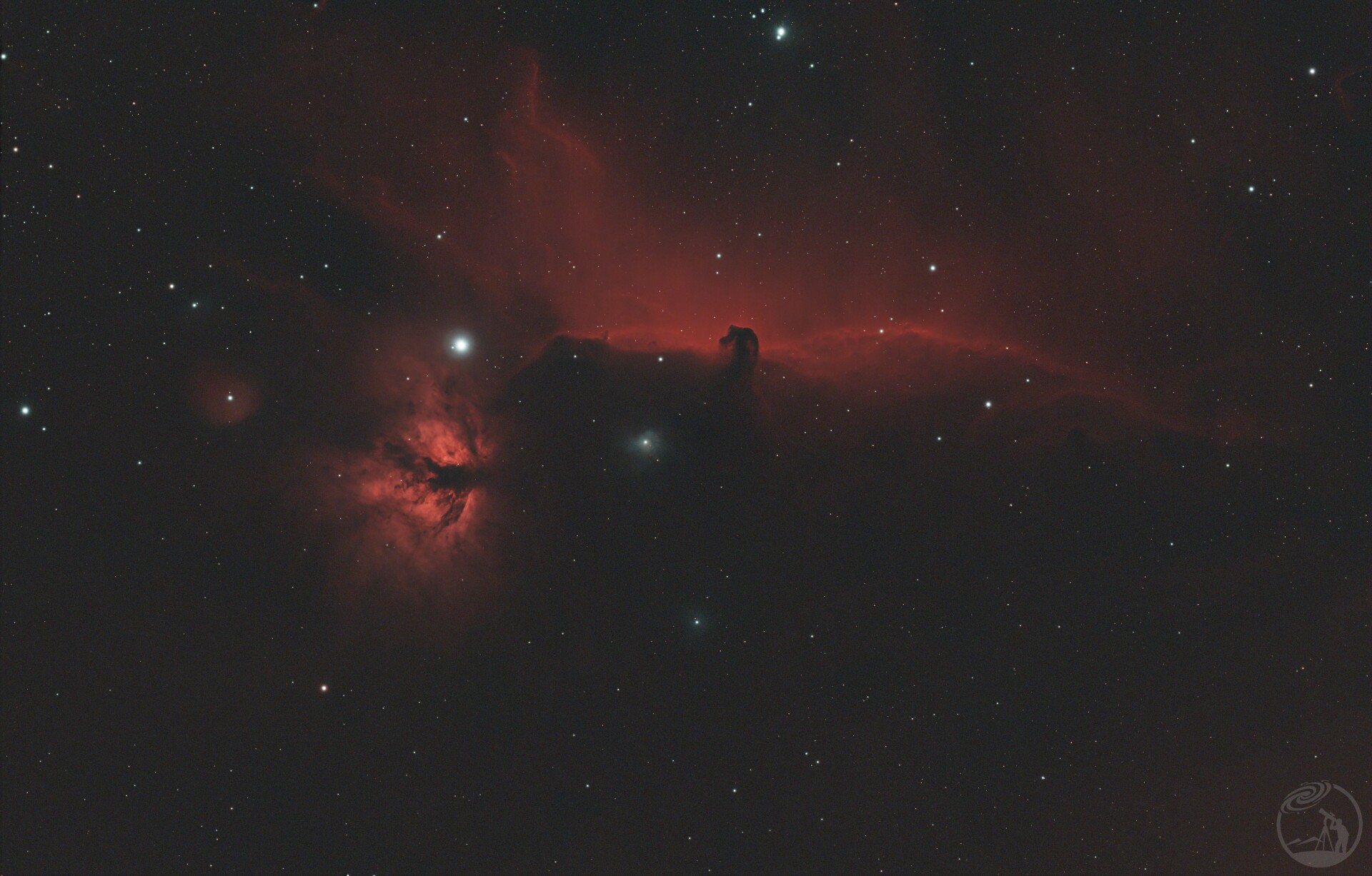 一个小时的马头