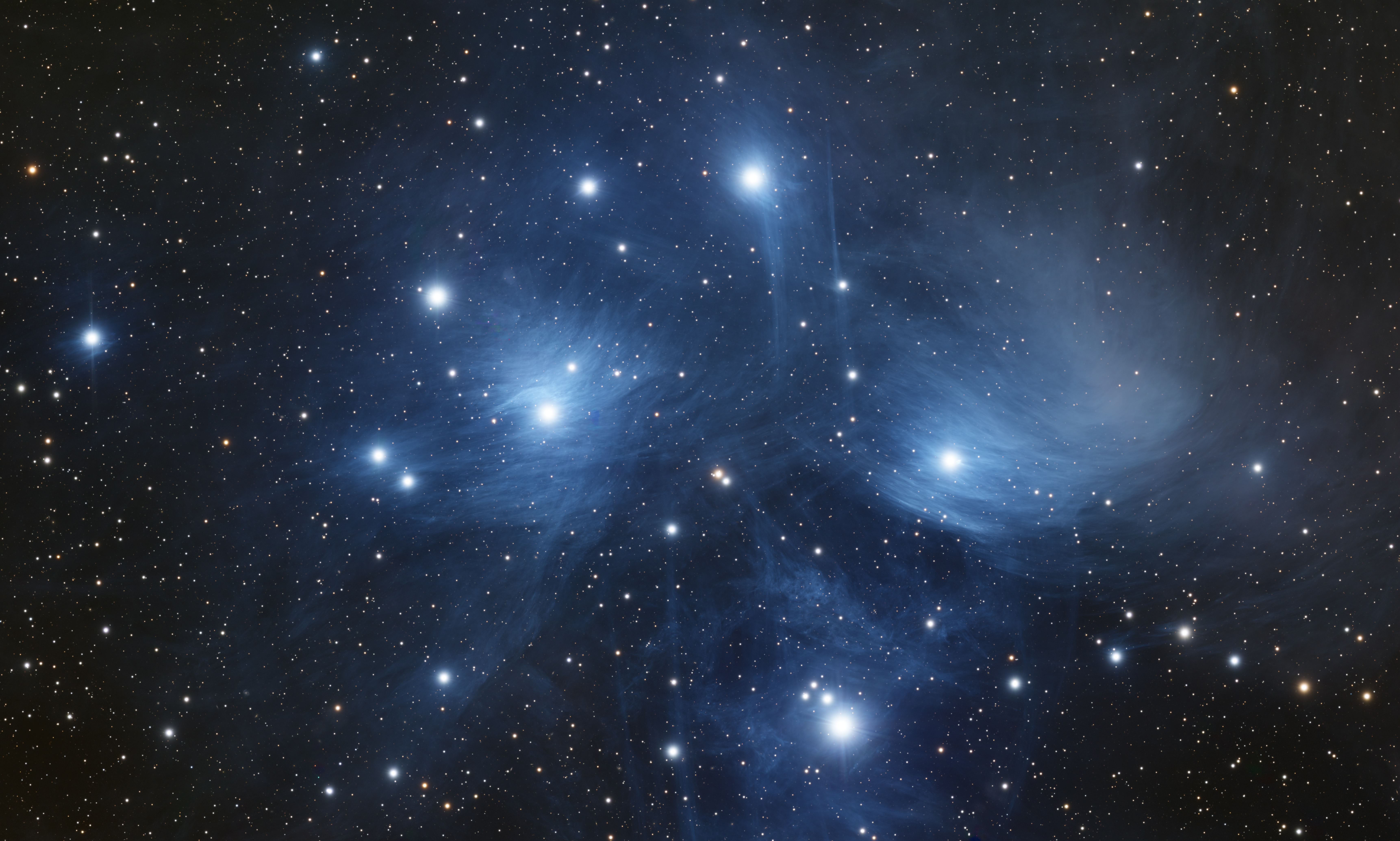 老客户赠品 M45+鹿舔+鸢尾花 155/130+600M