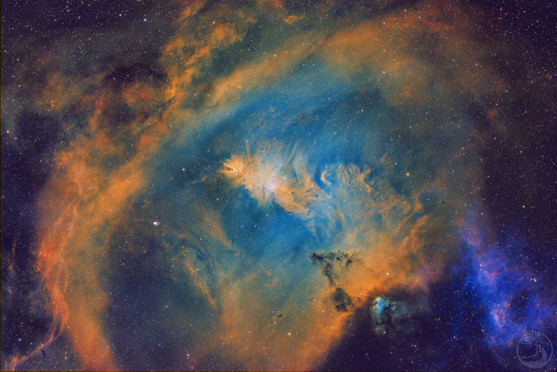 抚仙湖畔打野圣诞树