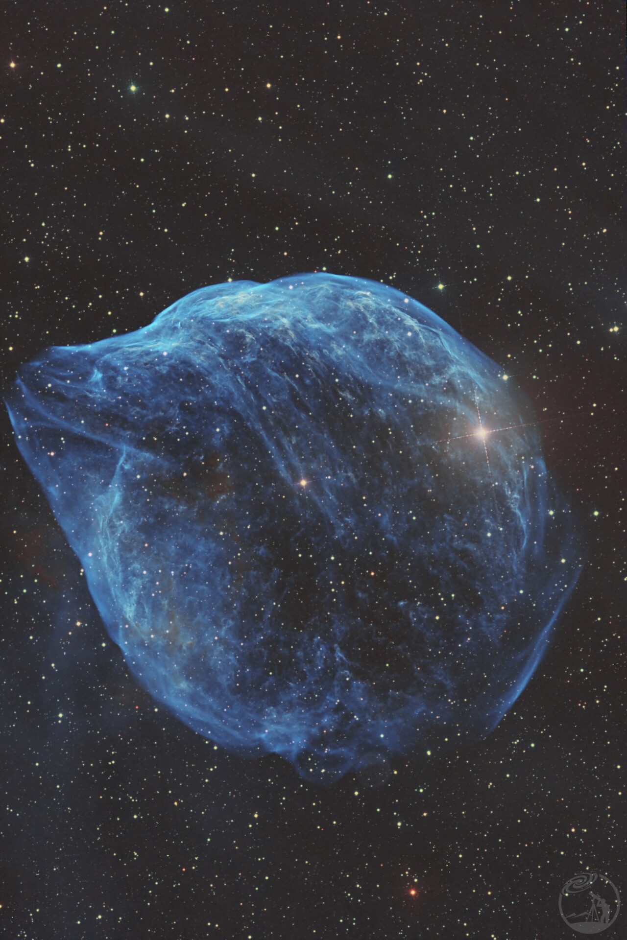 天空动物园之海豚sh2-308