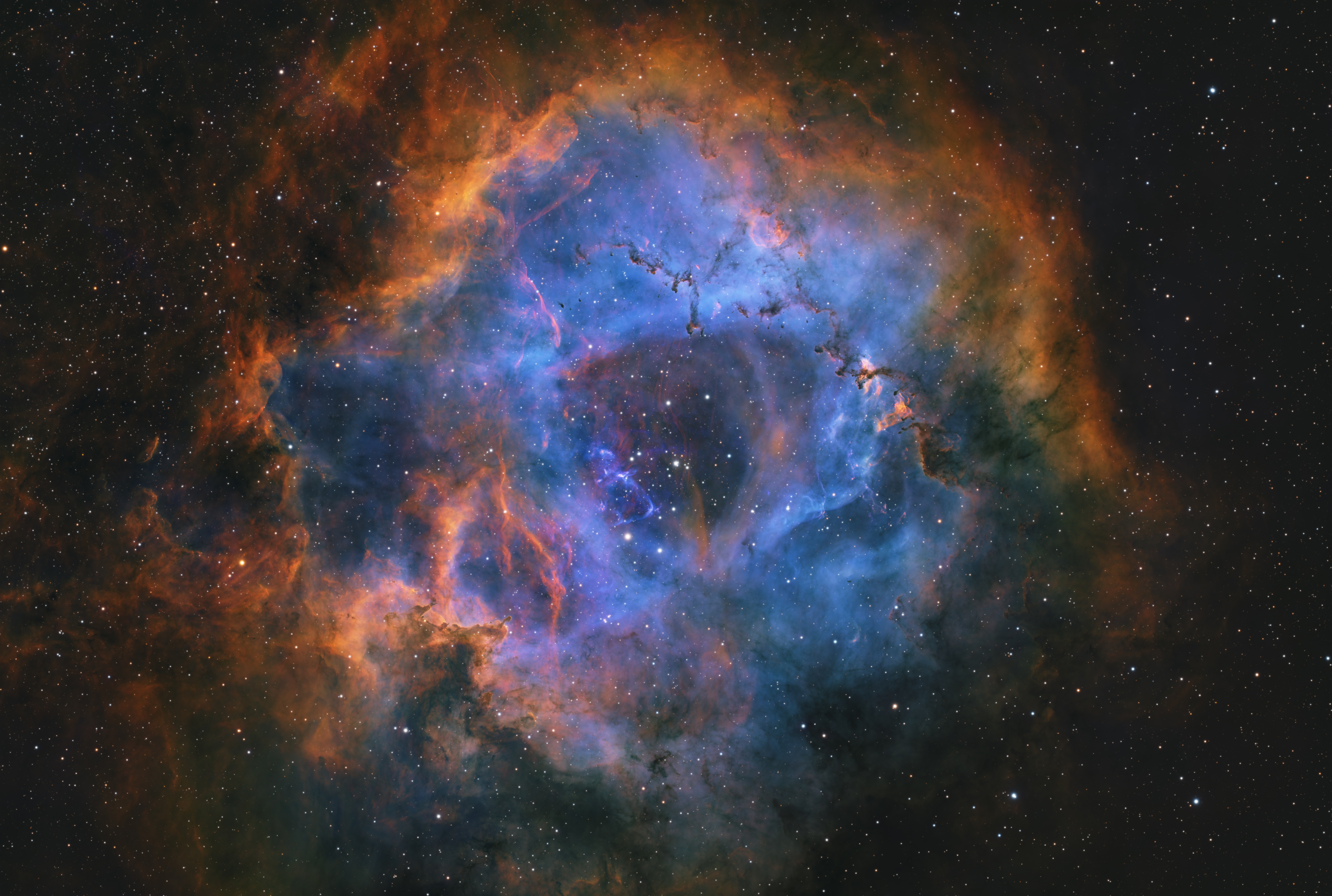 26小时玫瑰星云SHO 新手练习素材