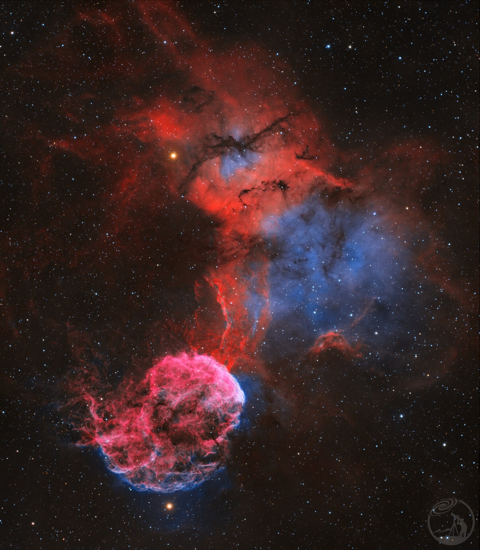 请叫我可爱小水母