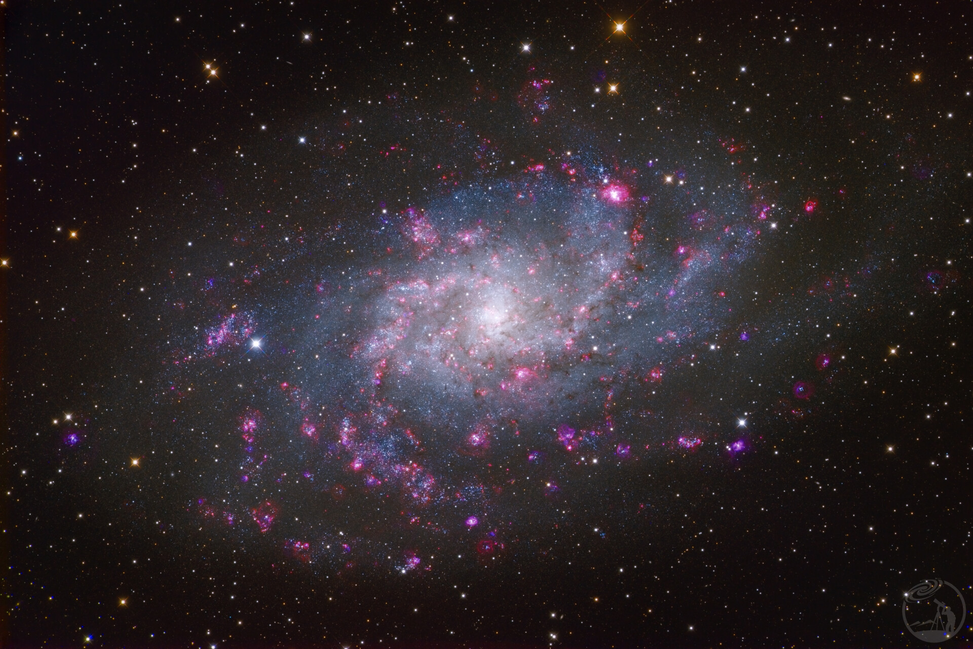 M33