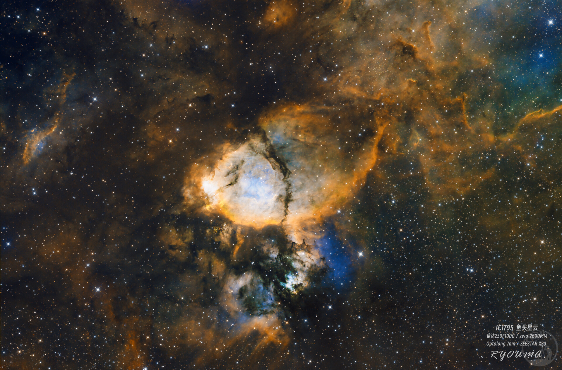 IC1795 鱼头星云