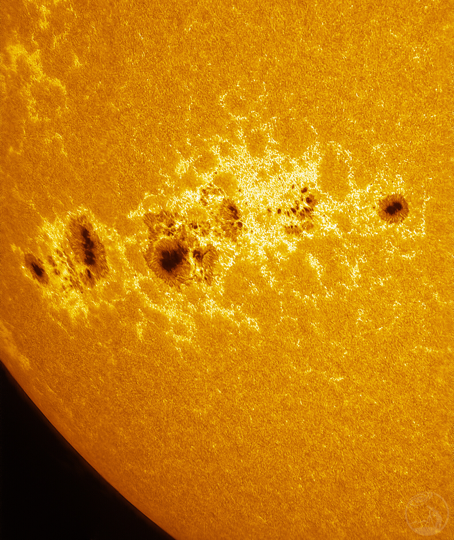 太阳黑子活动区