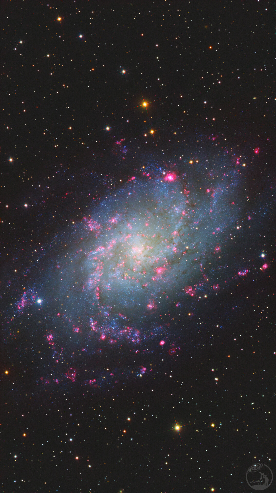 M33