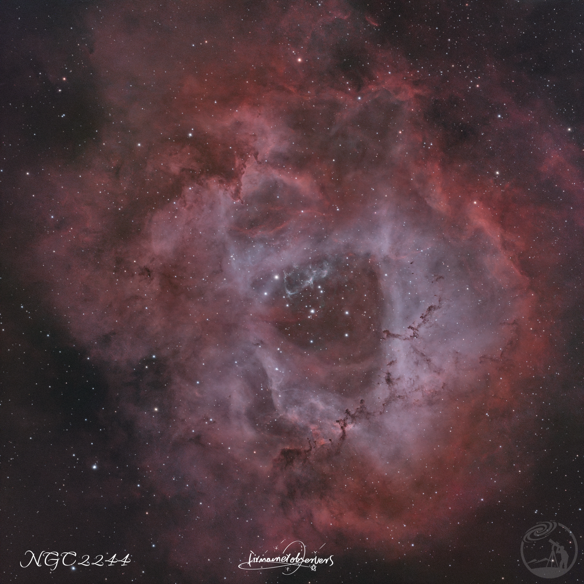 宇宙的浪漫玫瑰