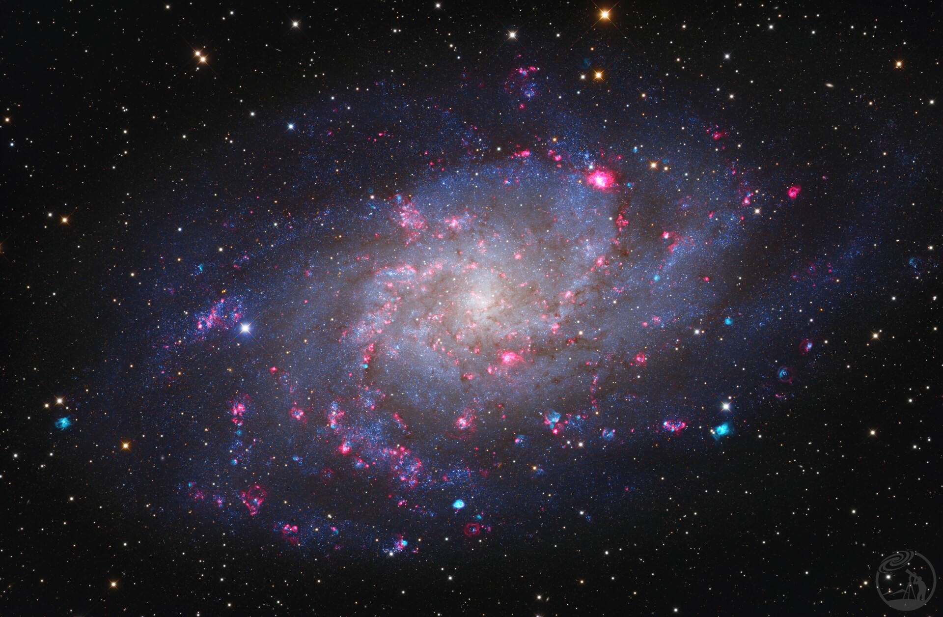M33