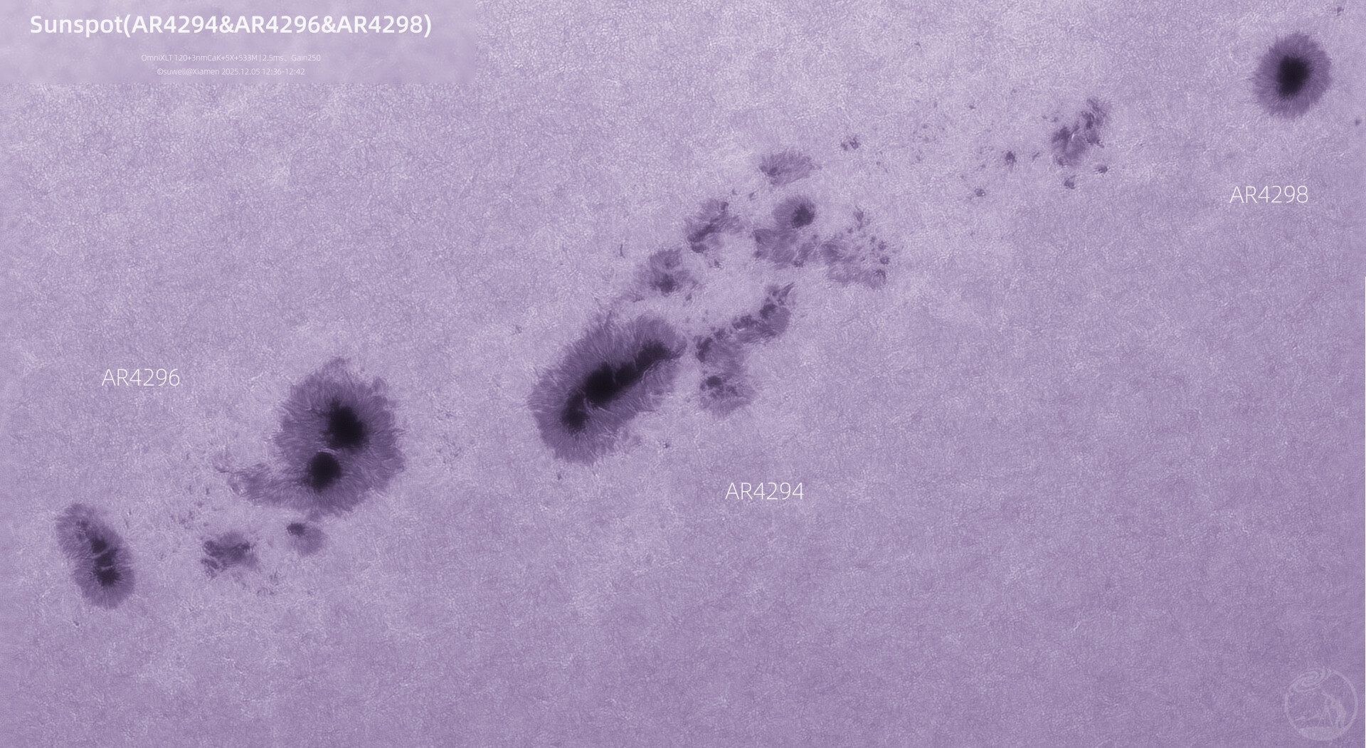 太阳黑子群马赛克