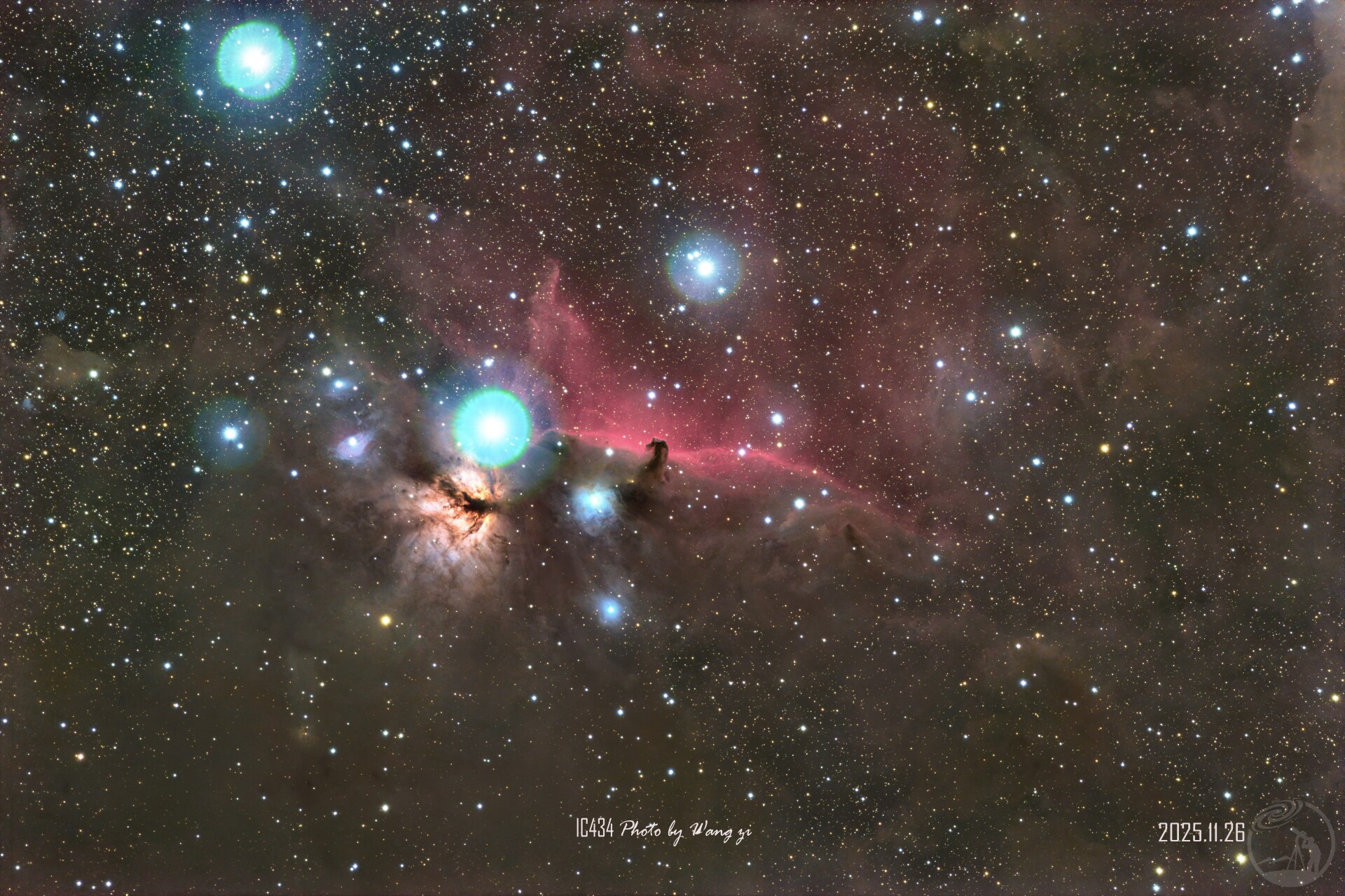 马头火树开满了晕花