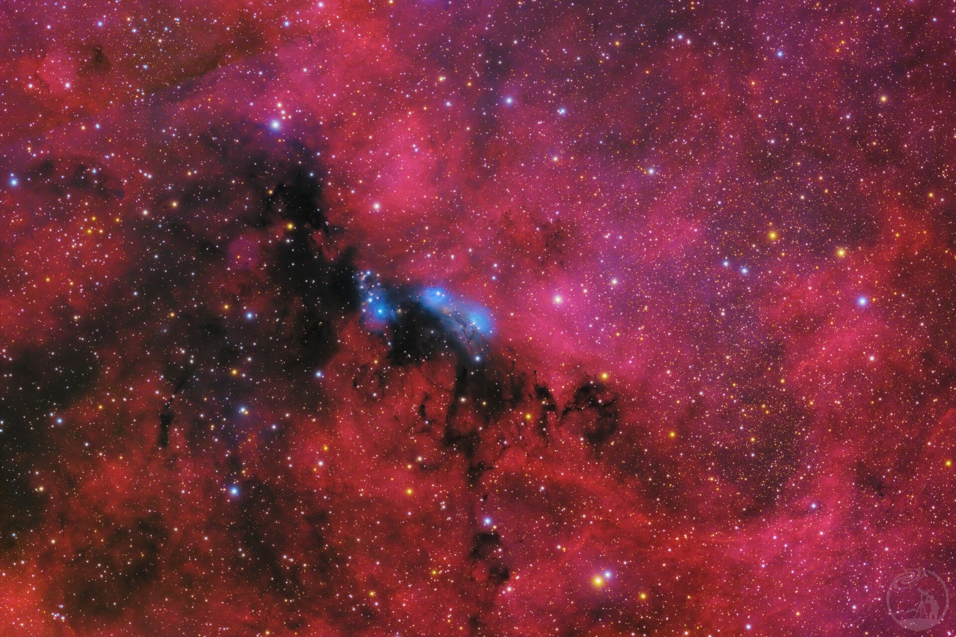 NGC6914 ~ 漂浮于电离氢之海