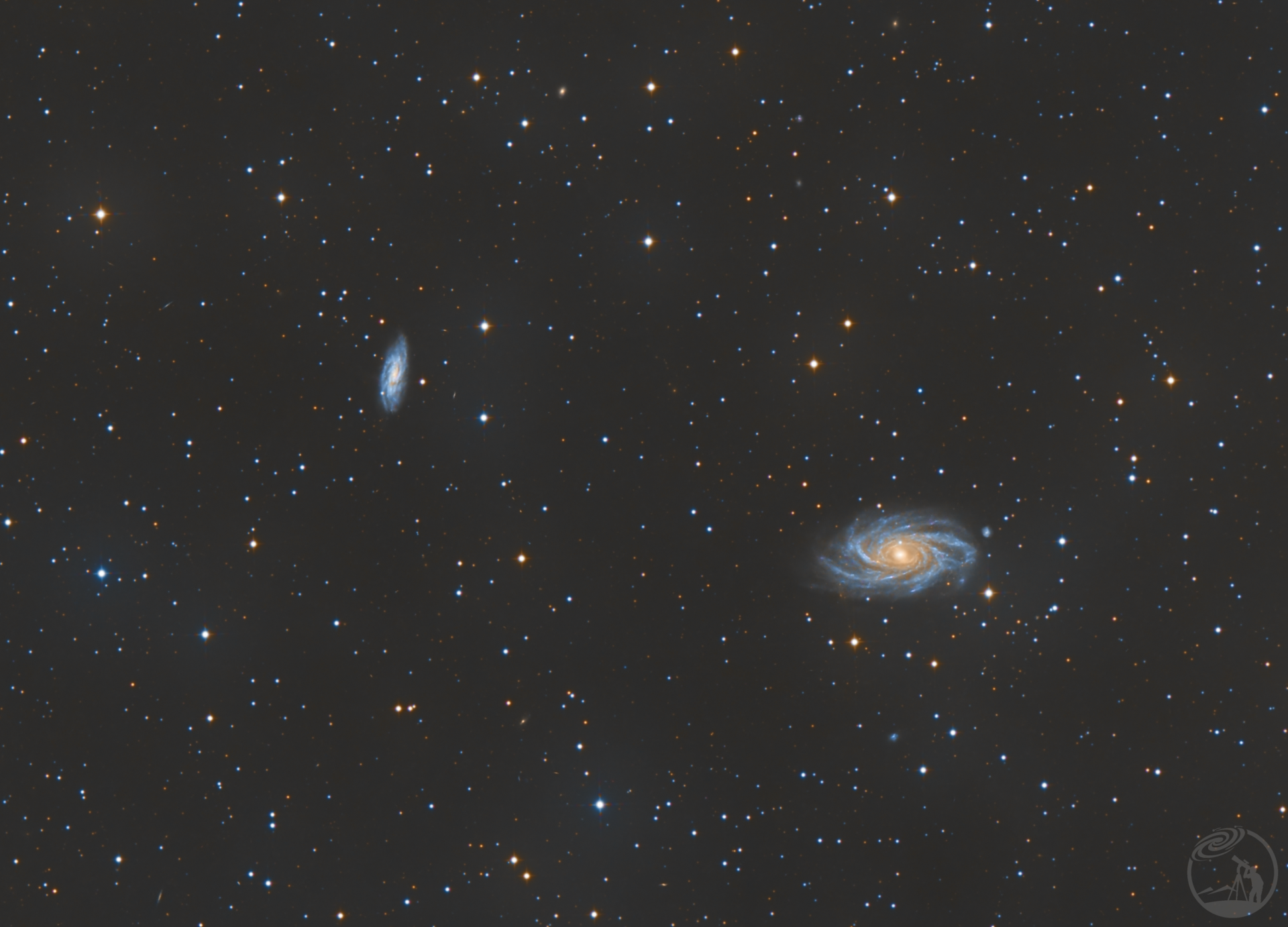 没有人发的小星系NGC2336