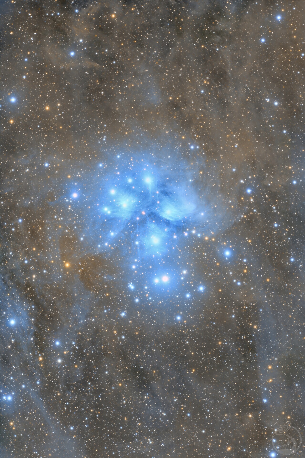 M45七仙女星团广域