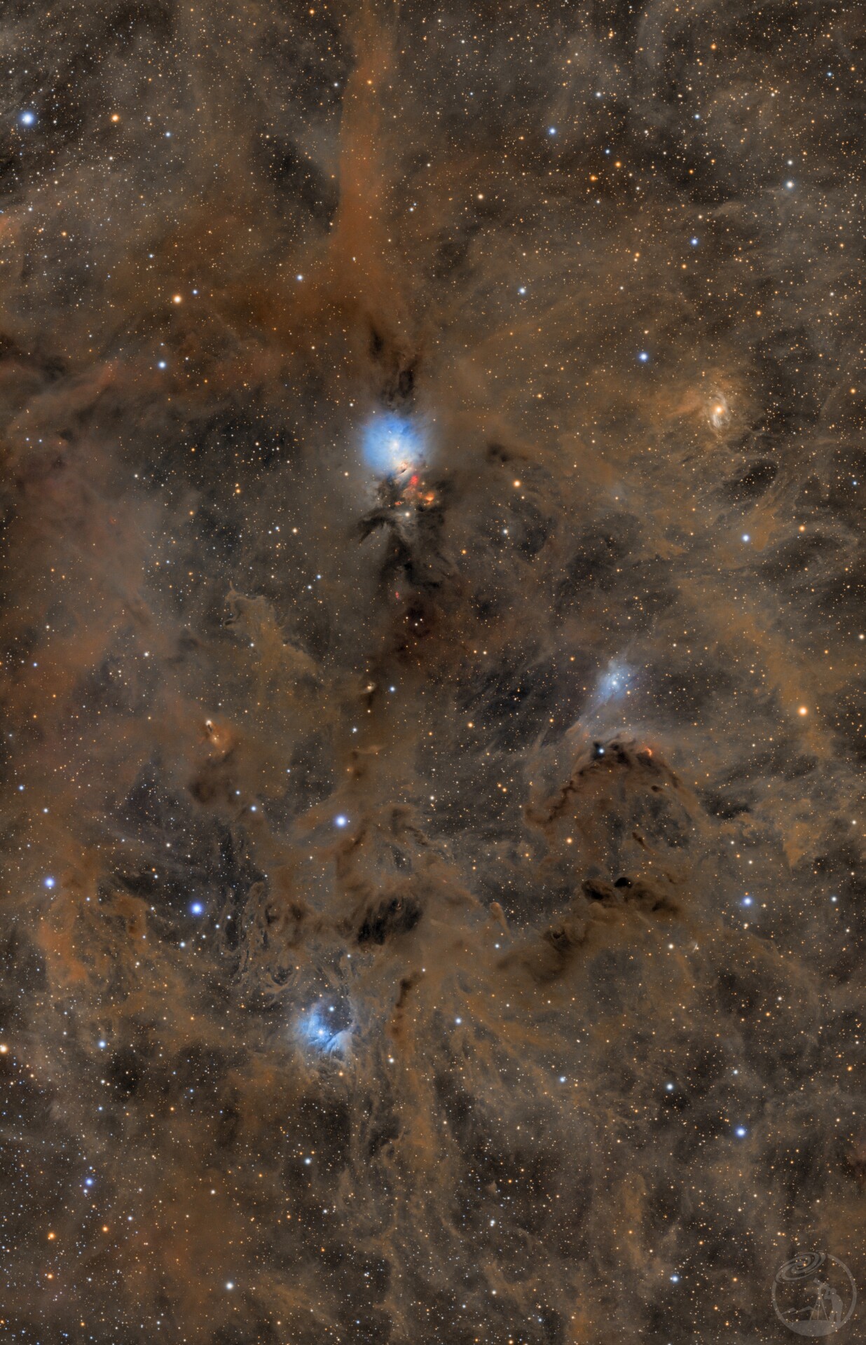 NGC1333