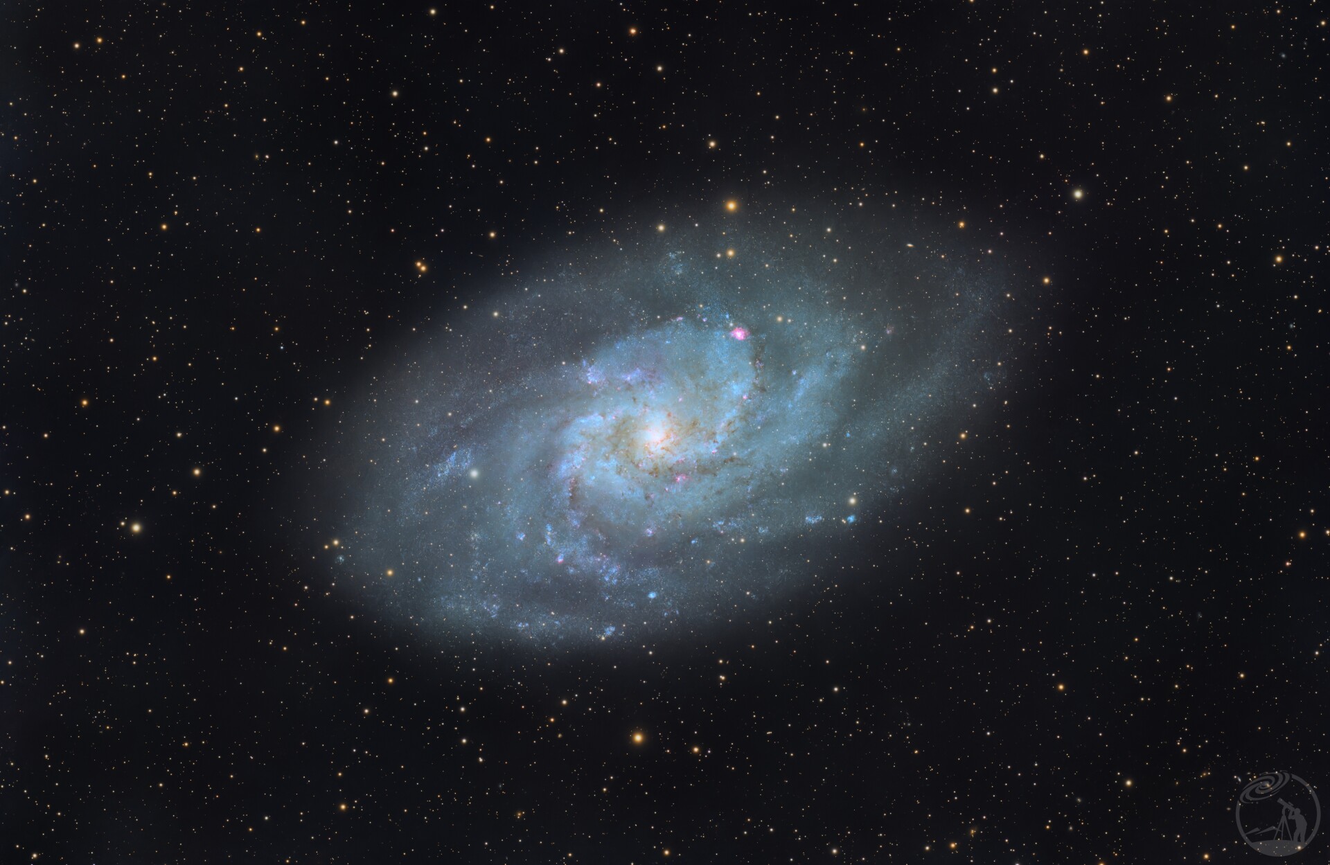 M33