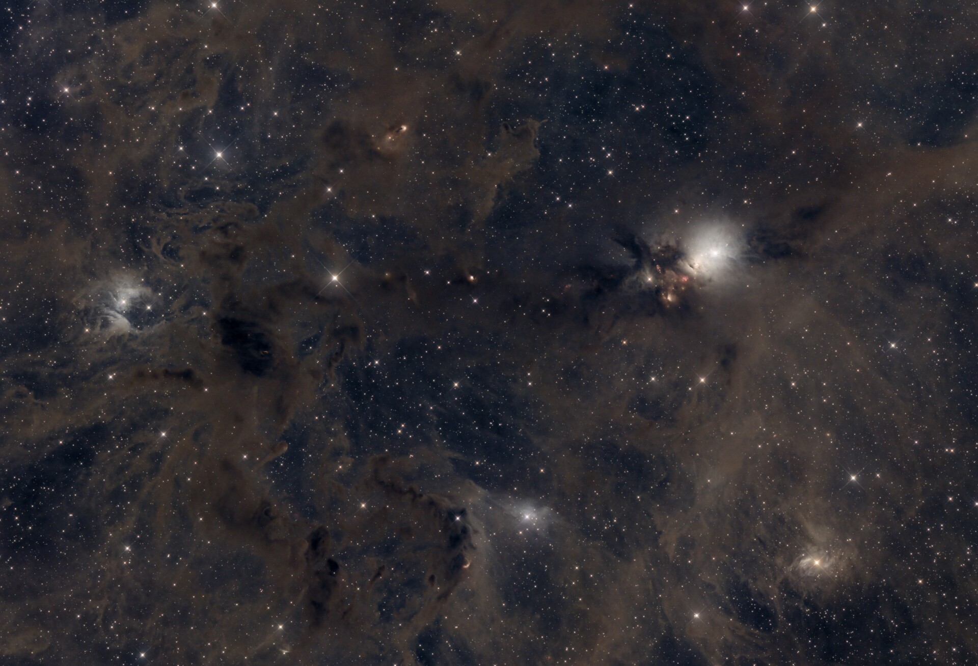 ngc1333 胚胎星云