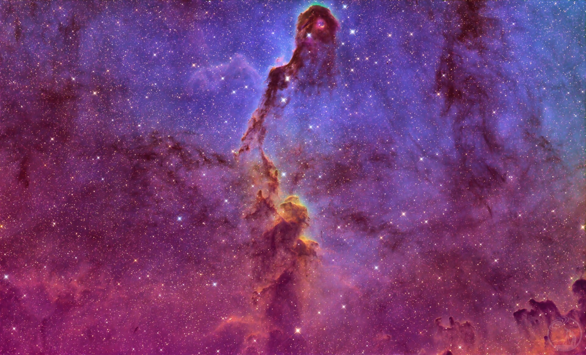 象鼻星云彩机SHO