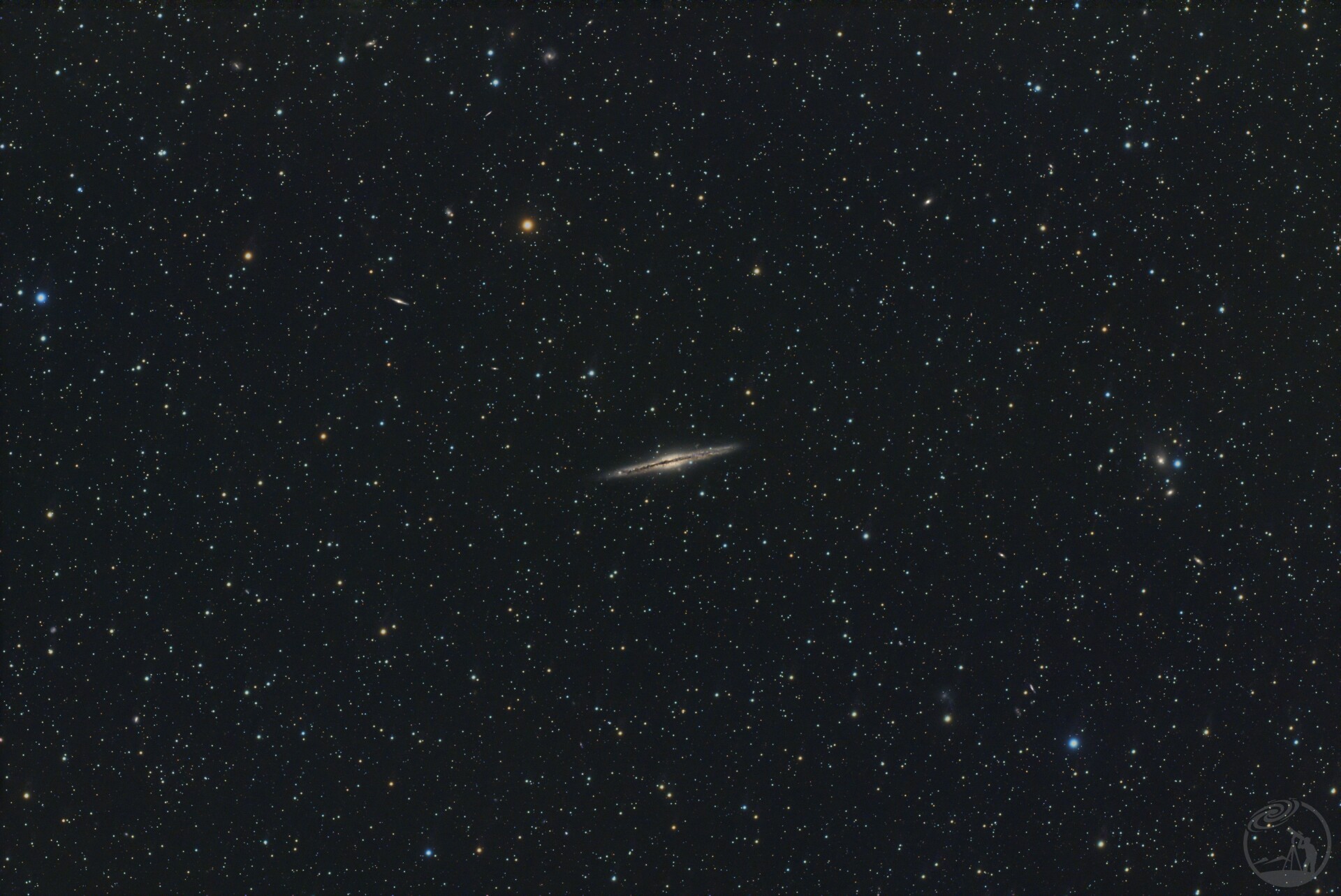 打野NGC891
