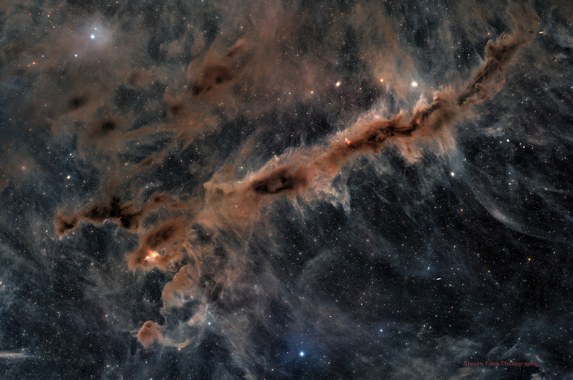 LBN788:愤怒的蝎子