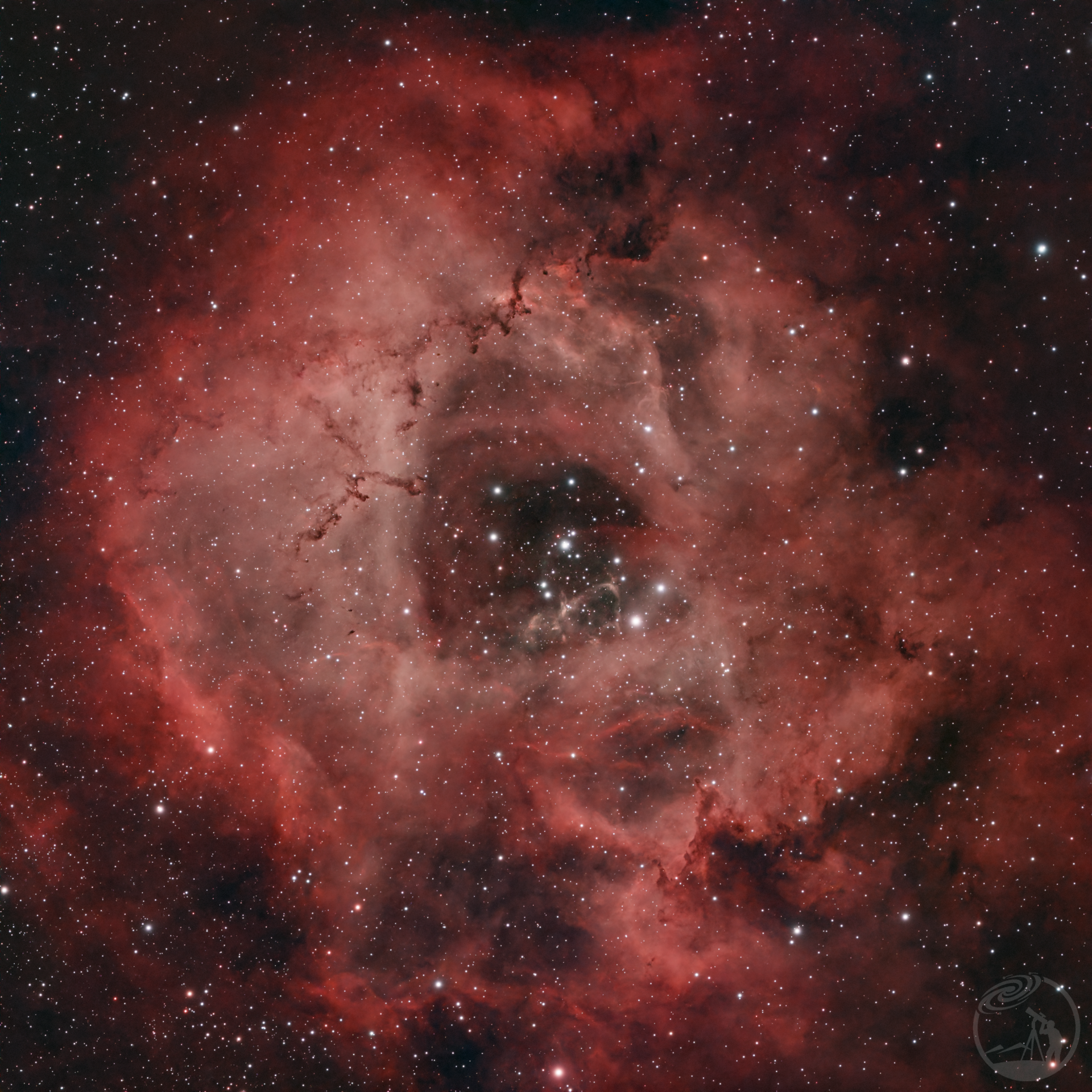 萌新第一次拍玫瑰星云