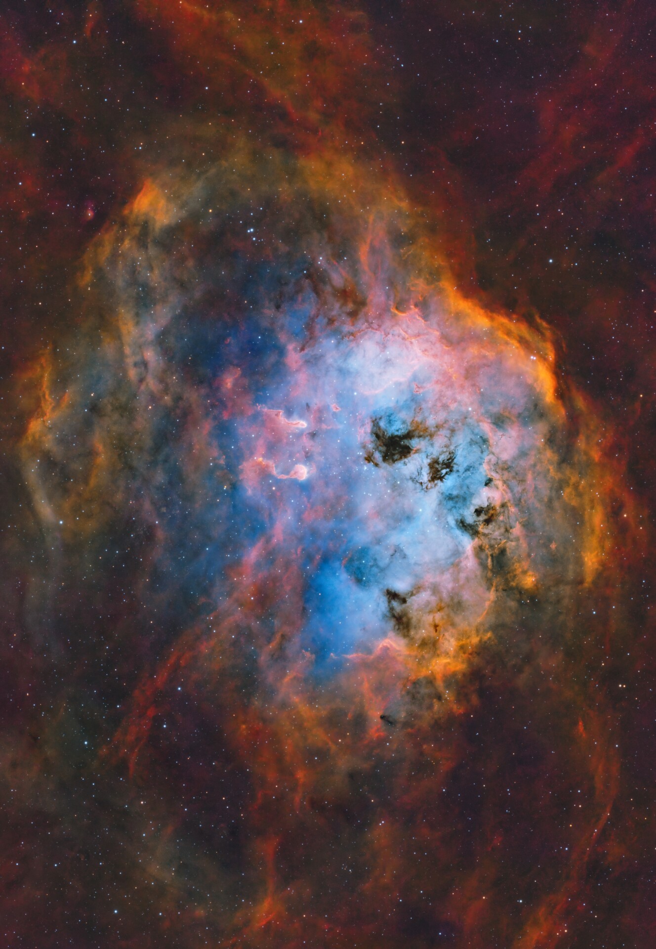 8级区 IC410 小蝌蚪