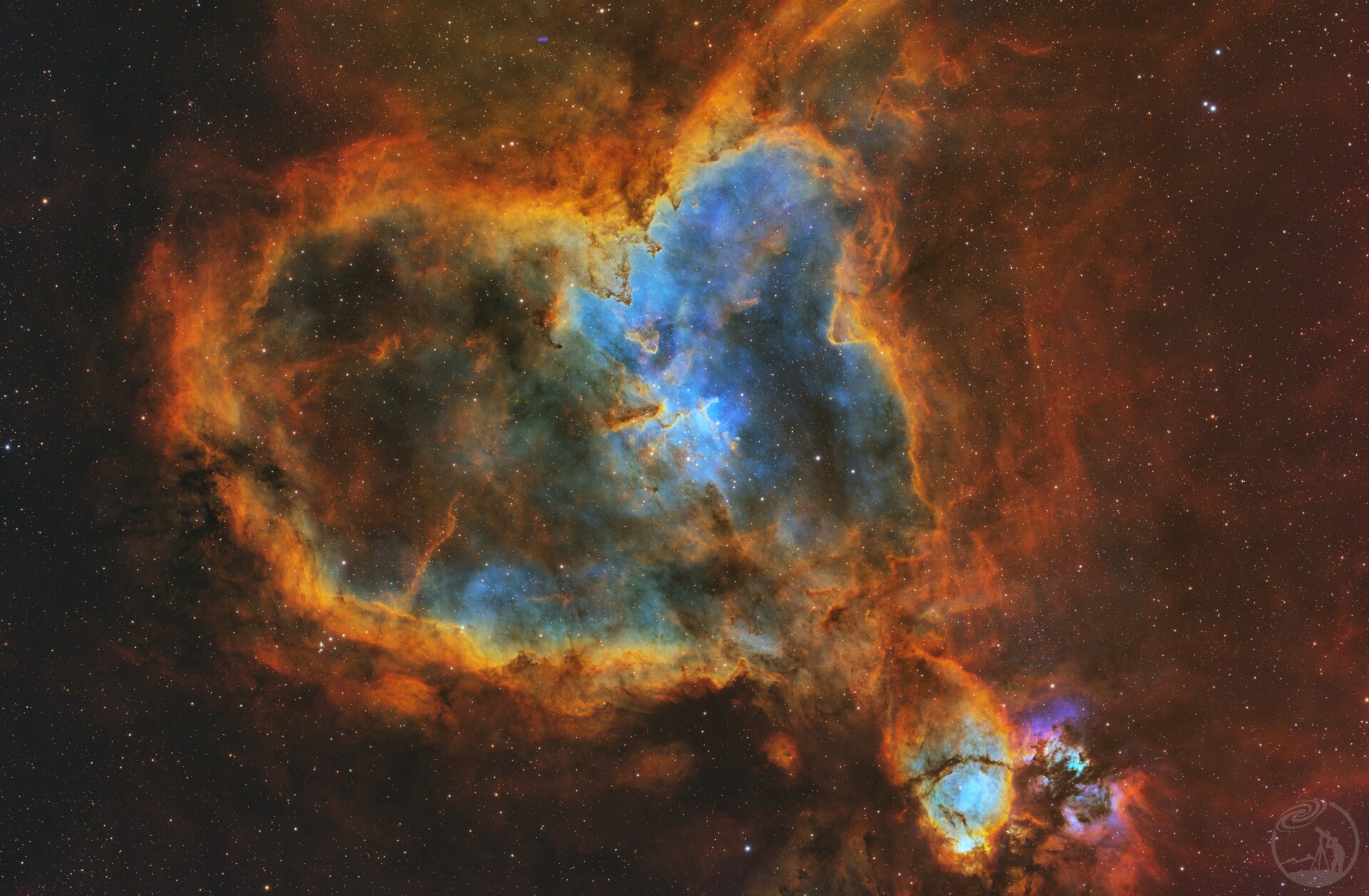 小企鹅打野的心脏