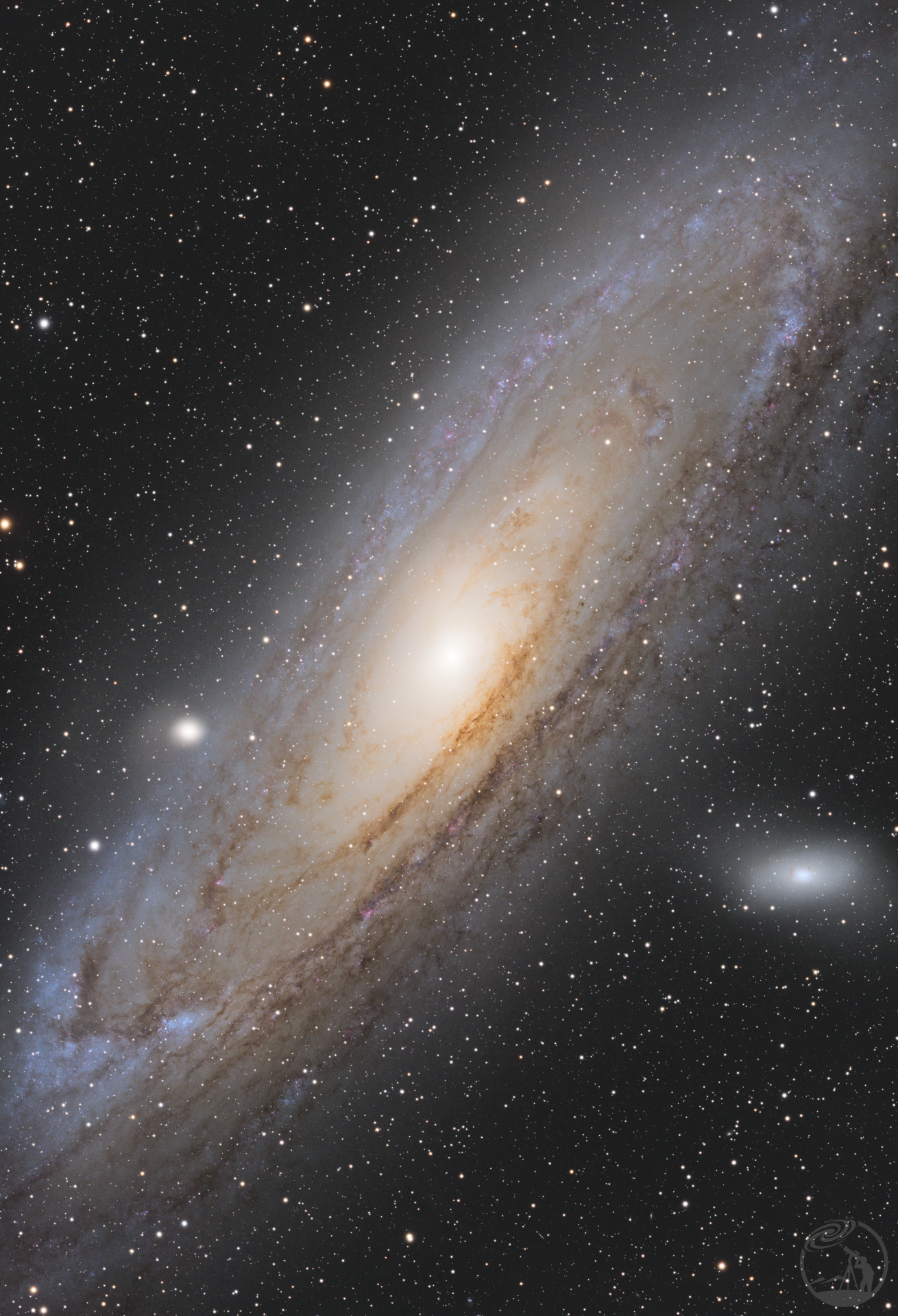 M31