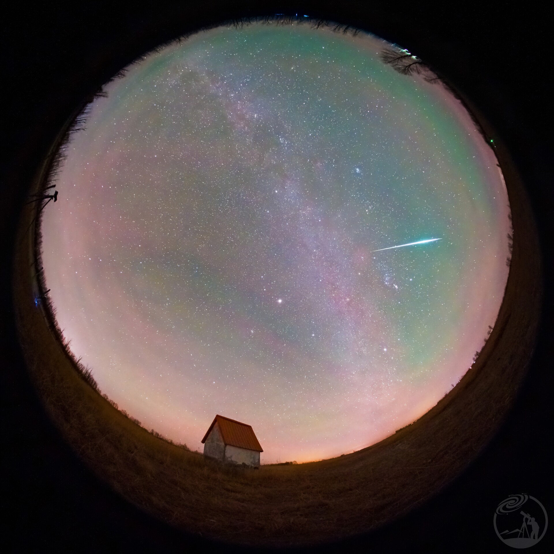 双子座的大鸡腿