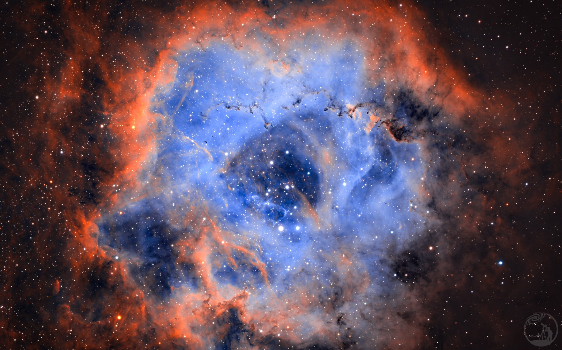 噢，小红玫瑰！