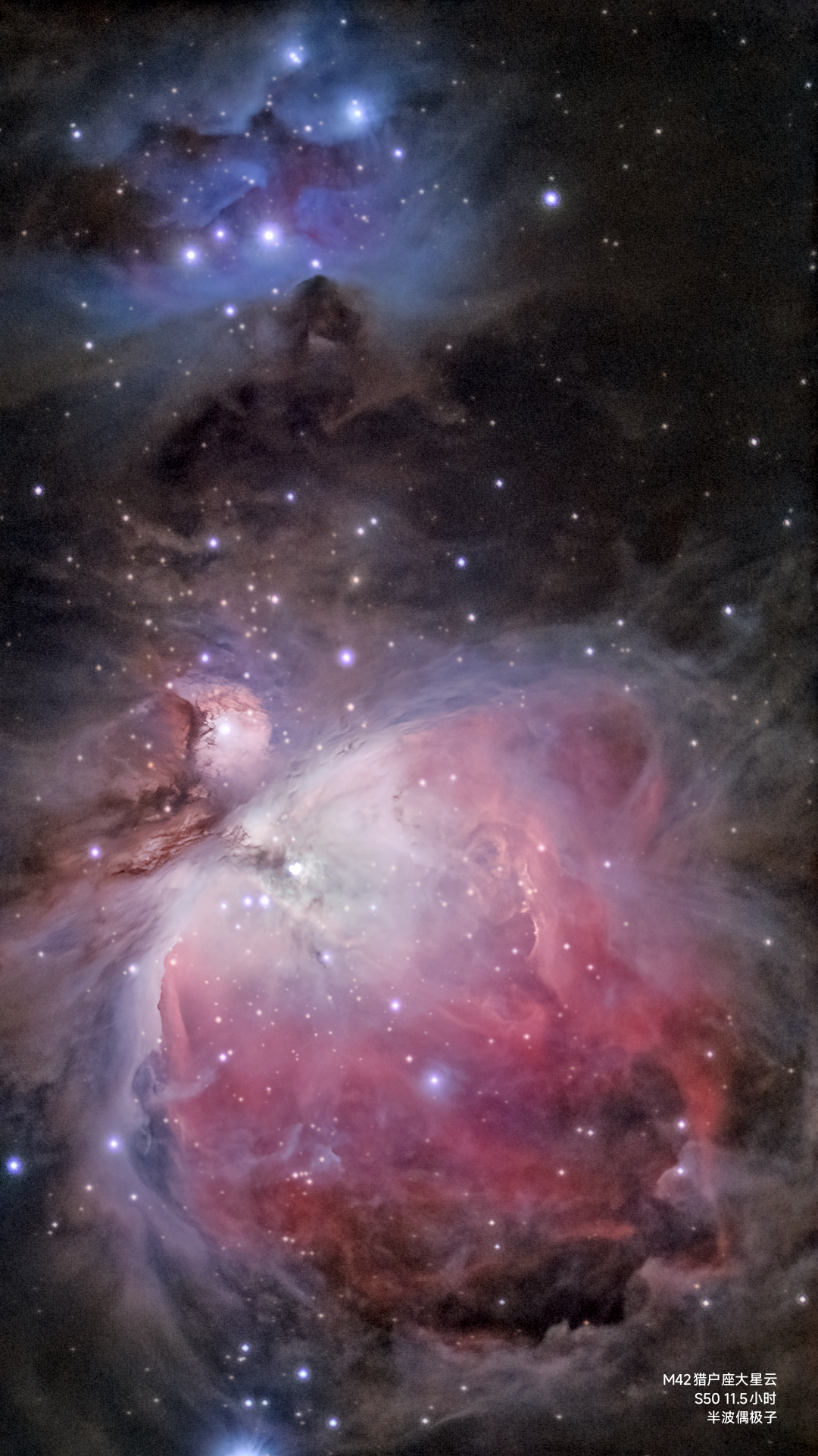 M42 S50 11.5小时细节提升版