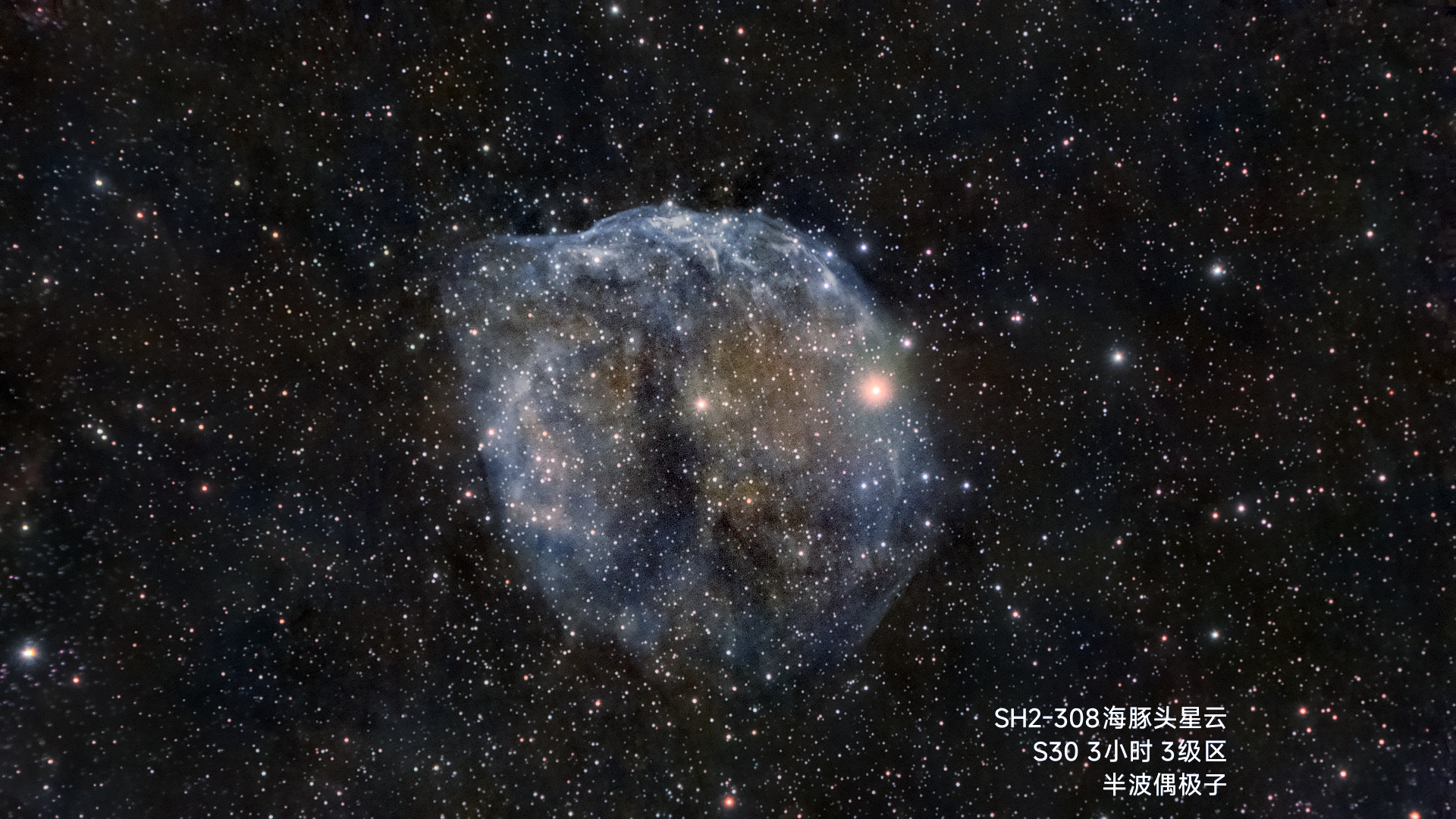 S30拍海豚头星云