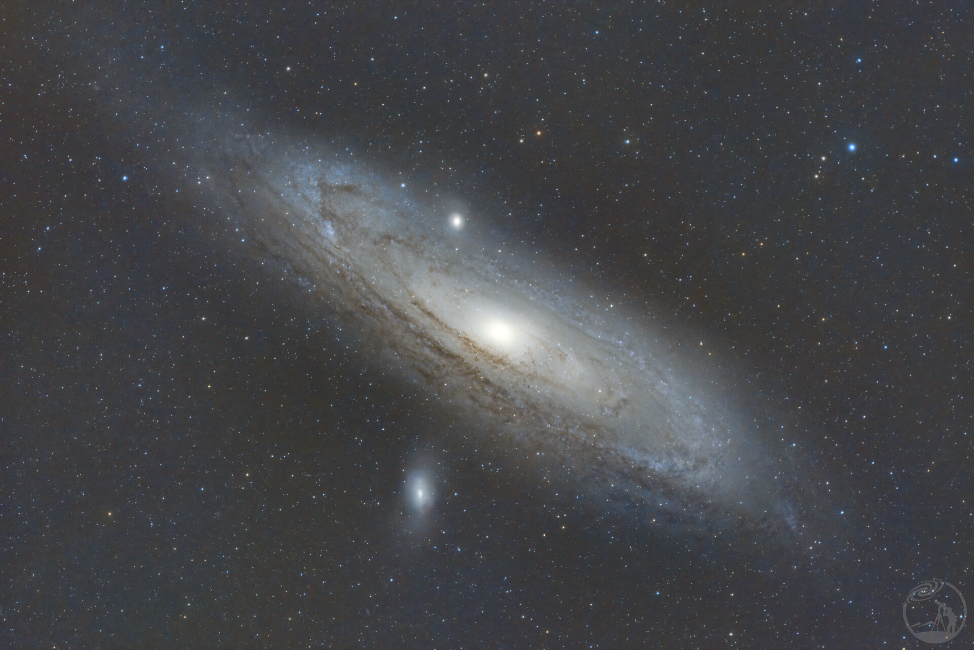 M31