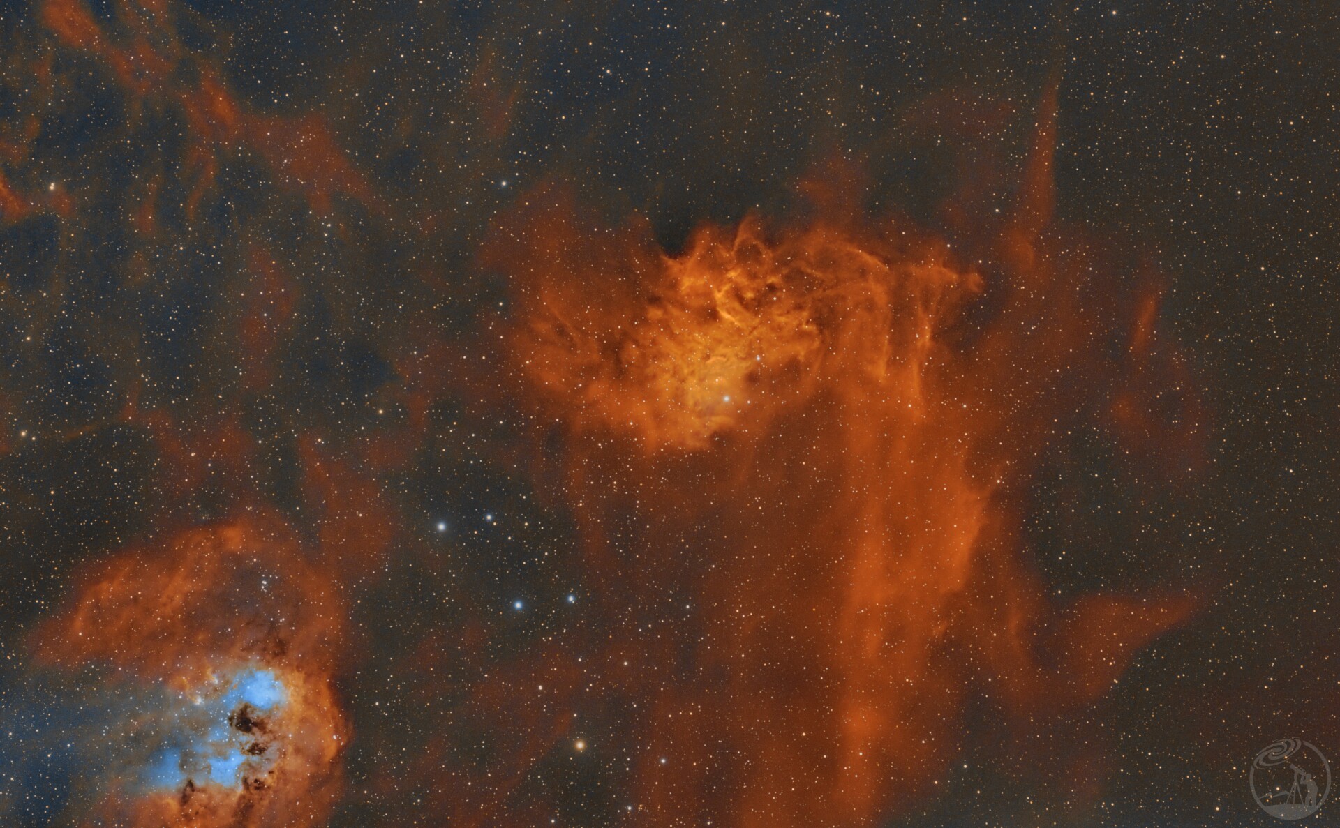 火焰之星与小蝌蚪广域