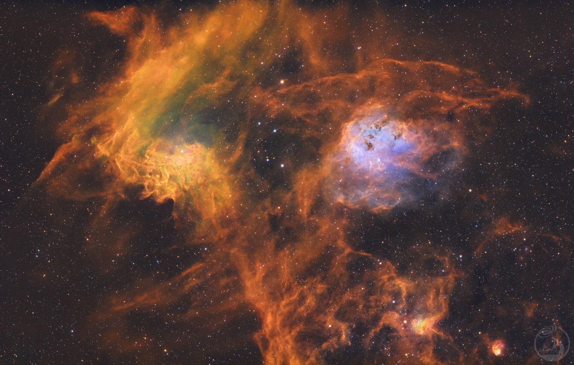 火焰中的小蝌蚪