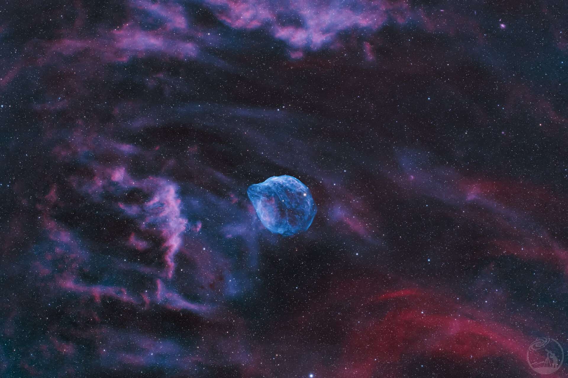 丝滑的海豚（彩机广域版）