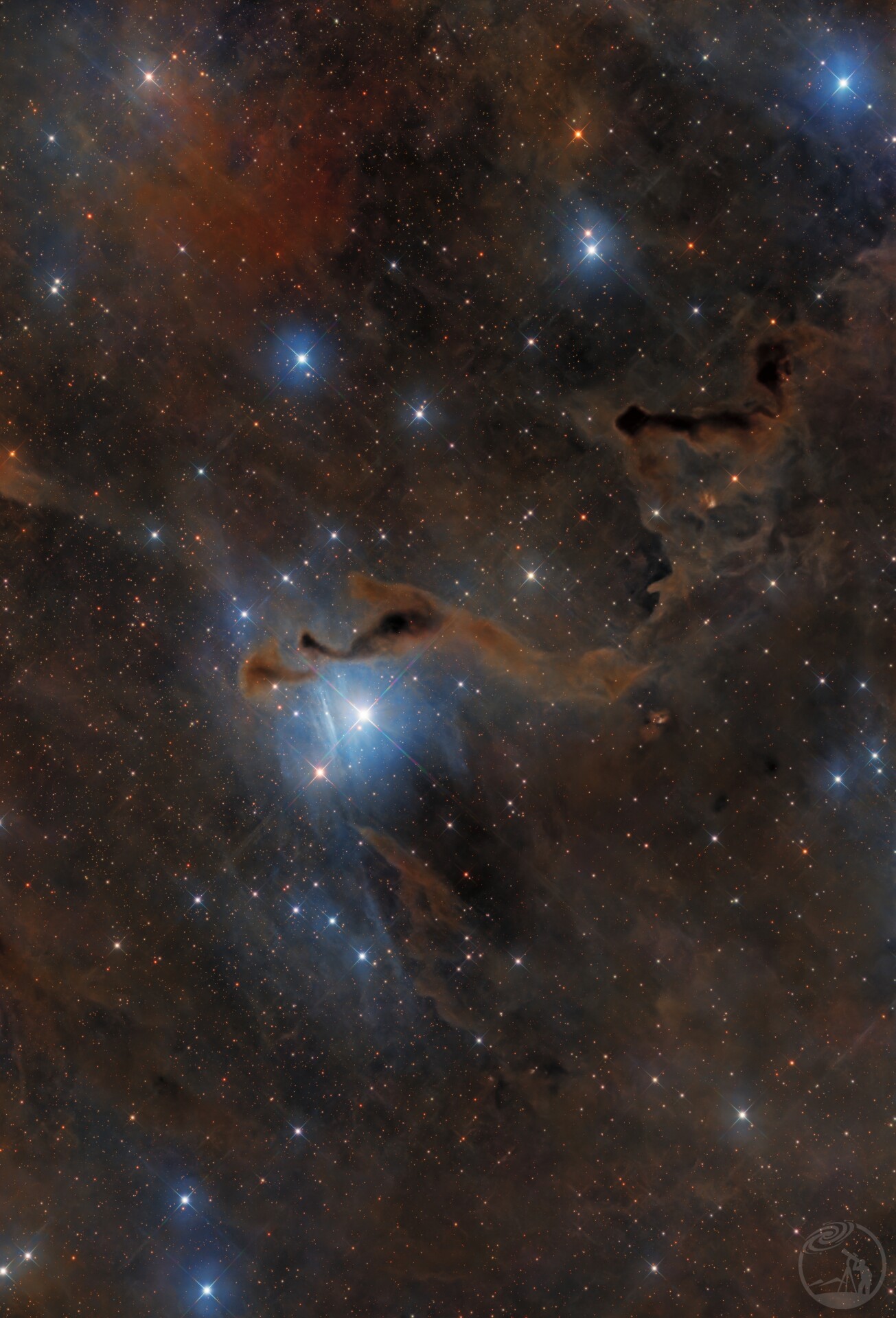 LDN1355 援助之手