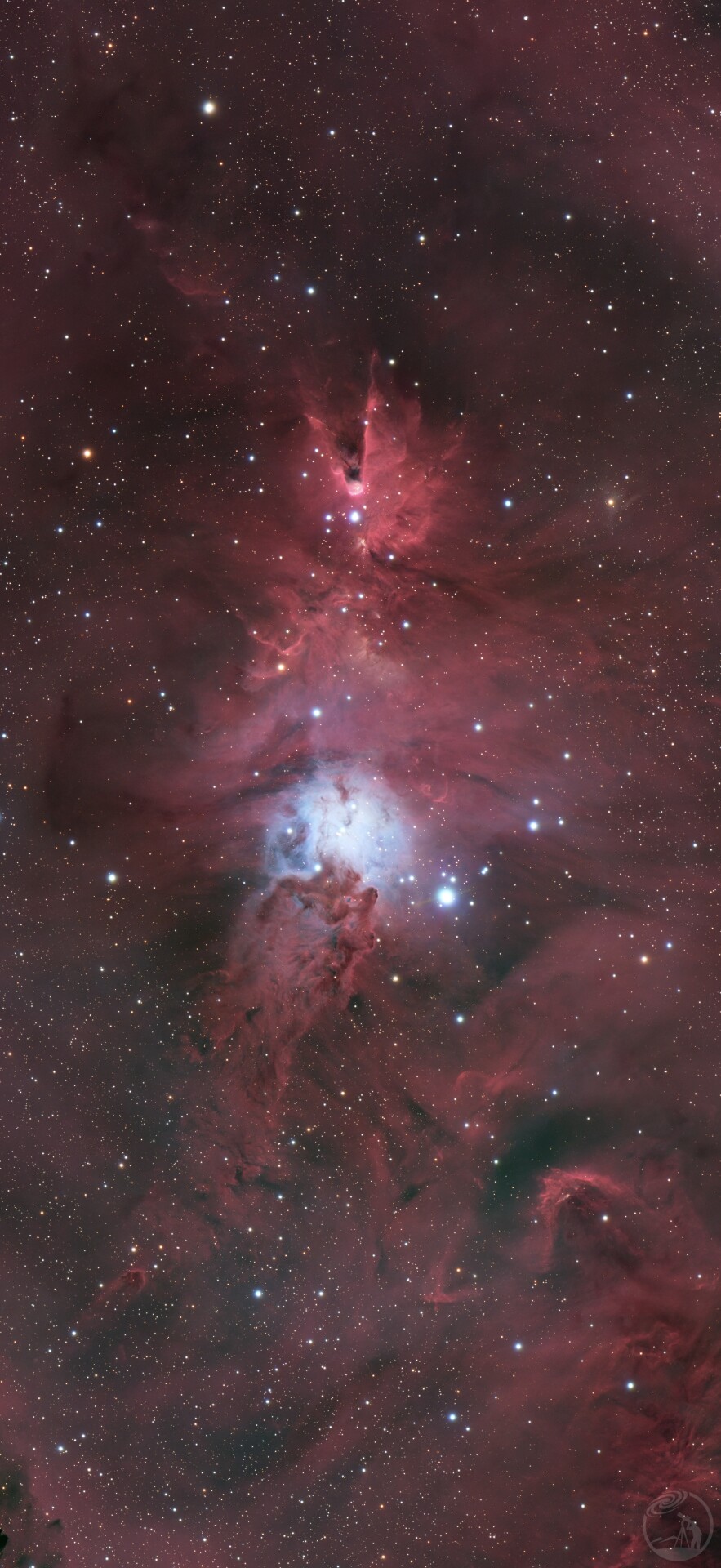 NGC2264 圣诞树🎄