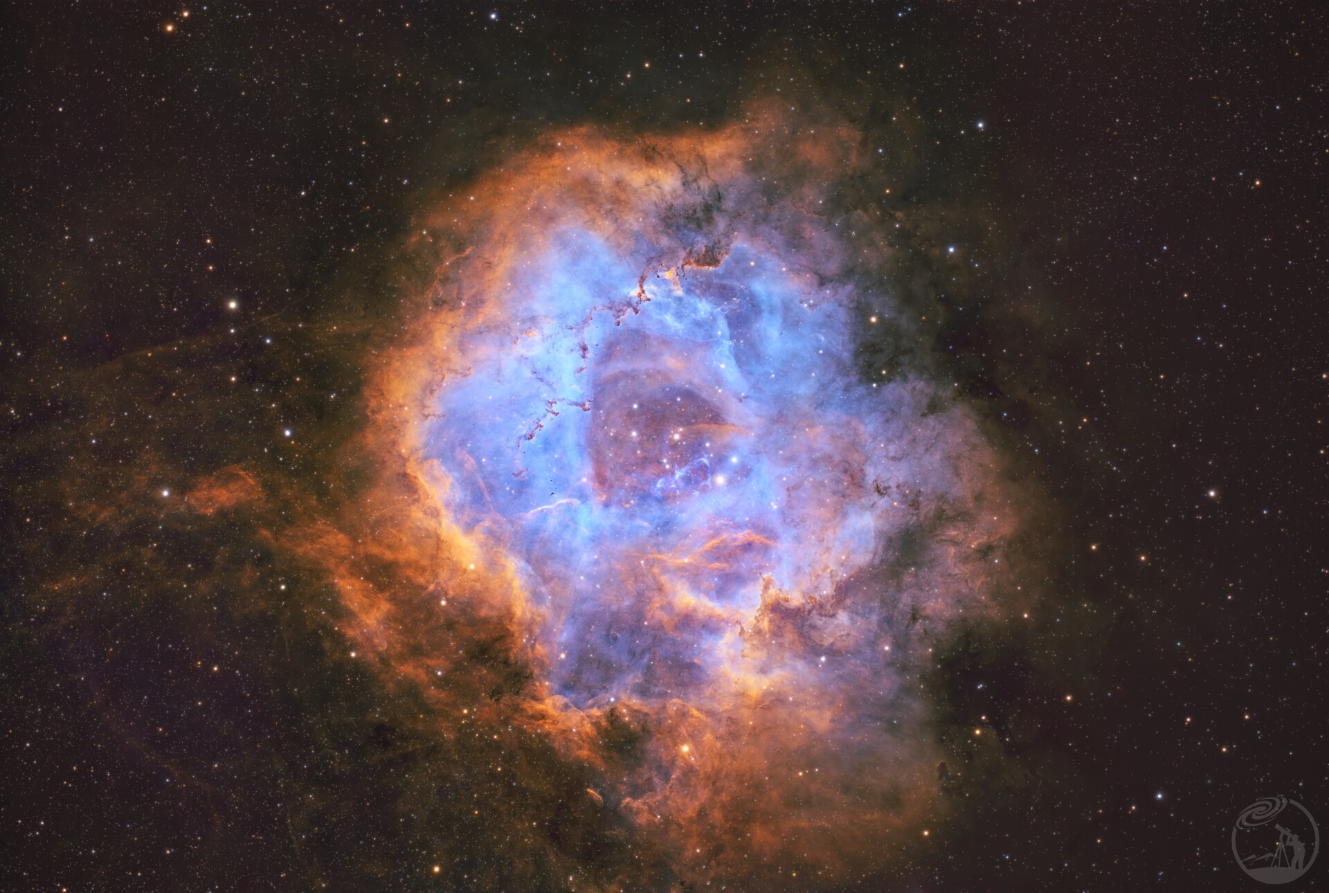 口袋里最后一片玫瑰