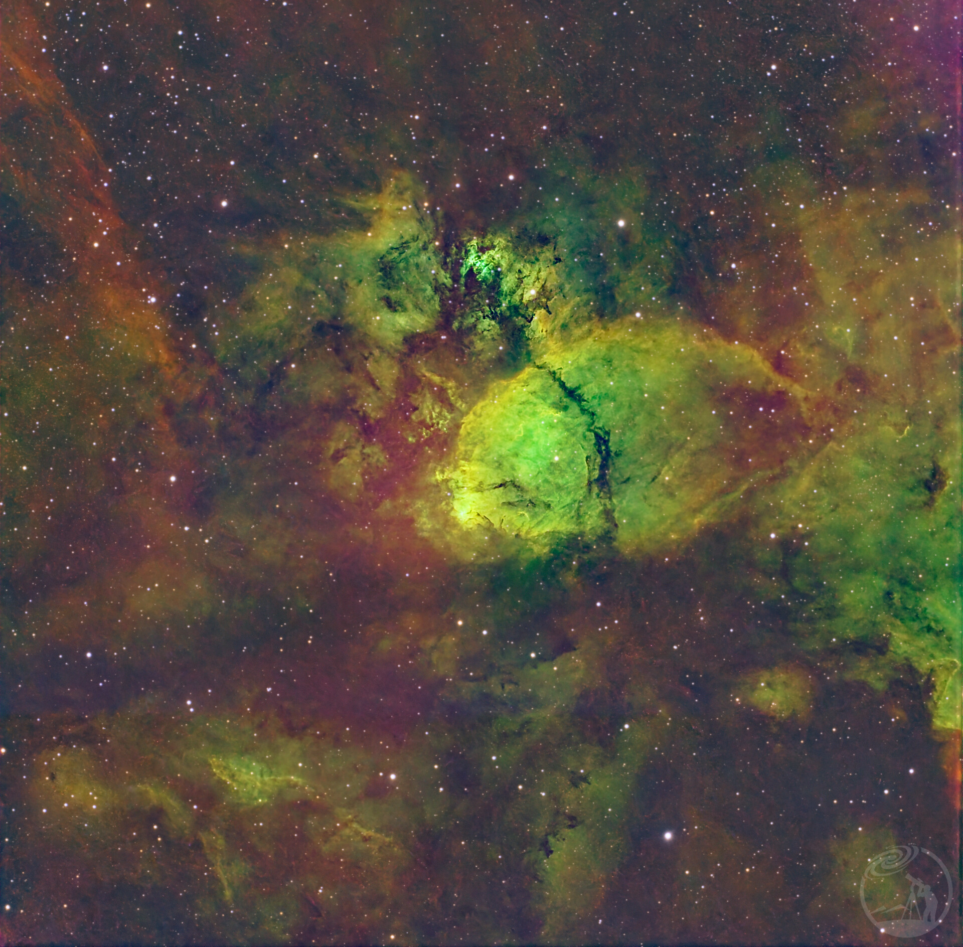 IC1795  一条绿鲤鱼头