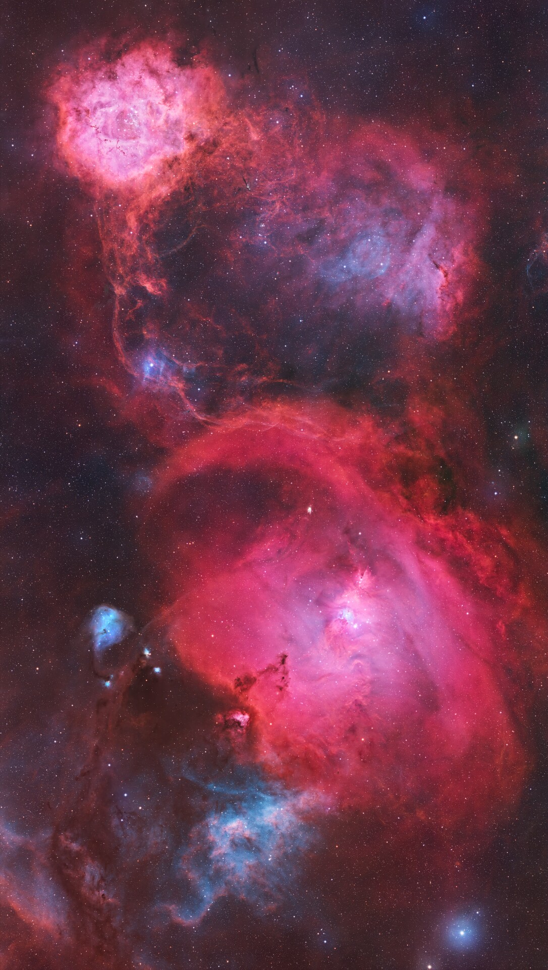 150小时LRGBHSO玫瑰圣诞树