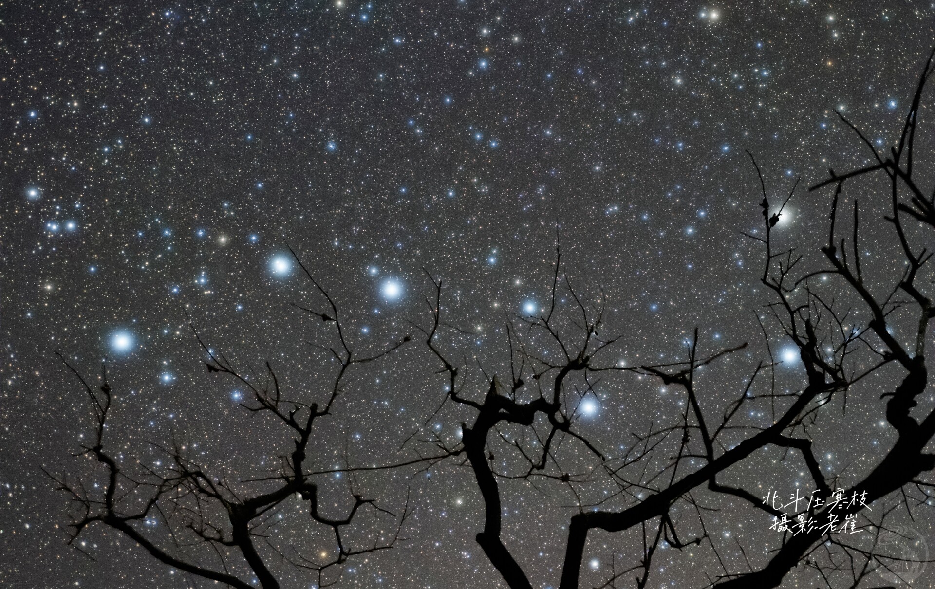 北斗压寒枝