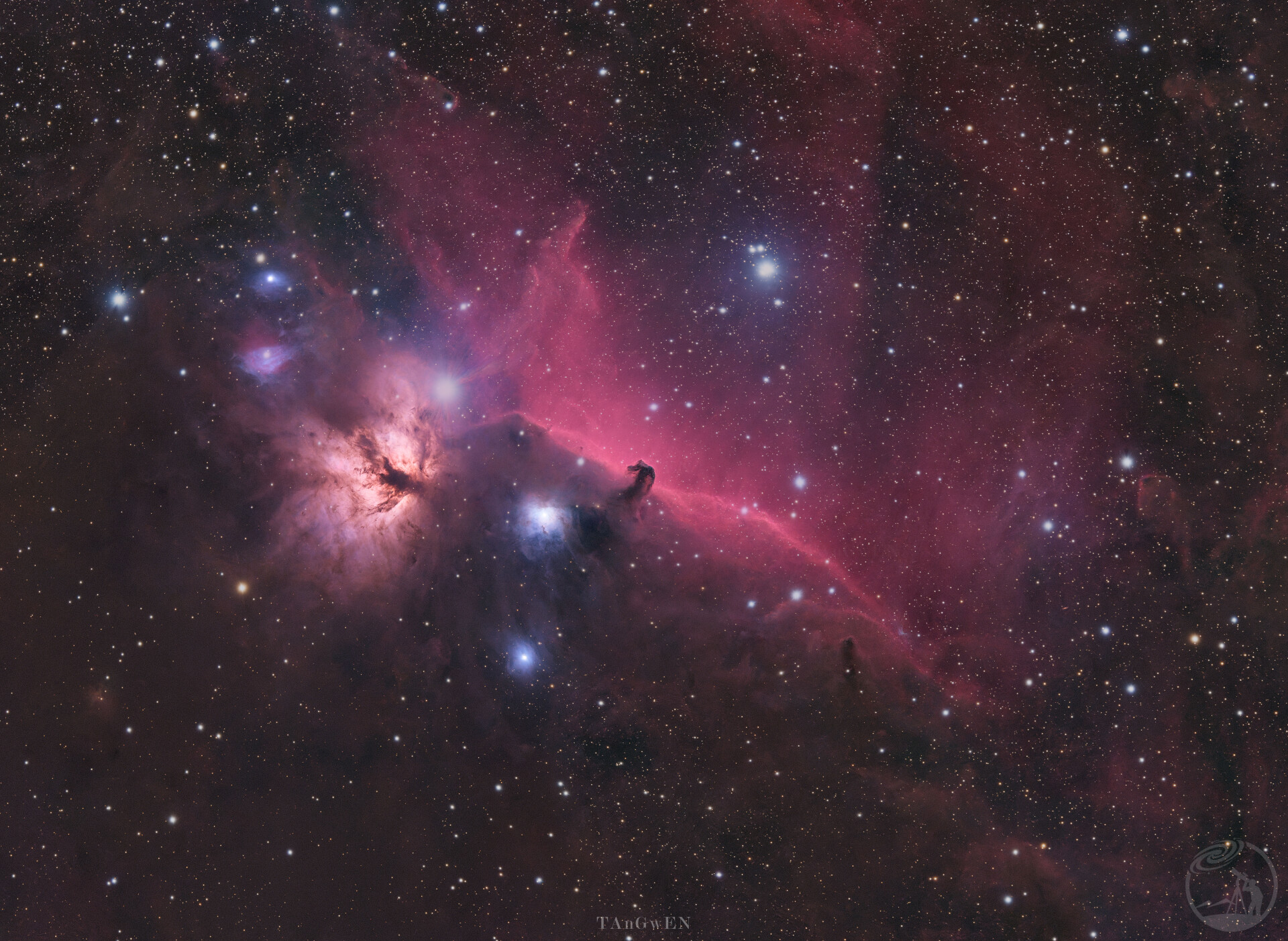 打野半小时马头